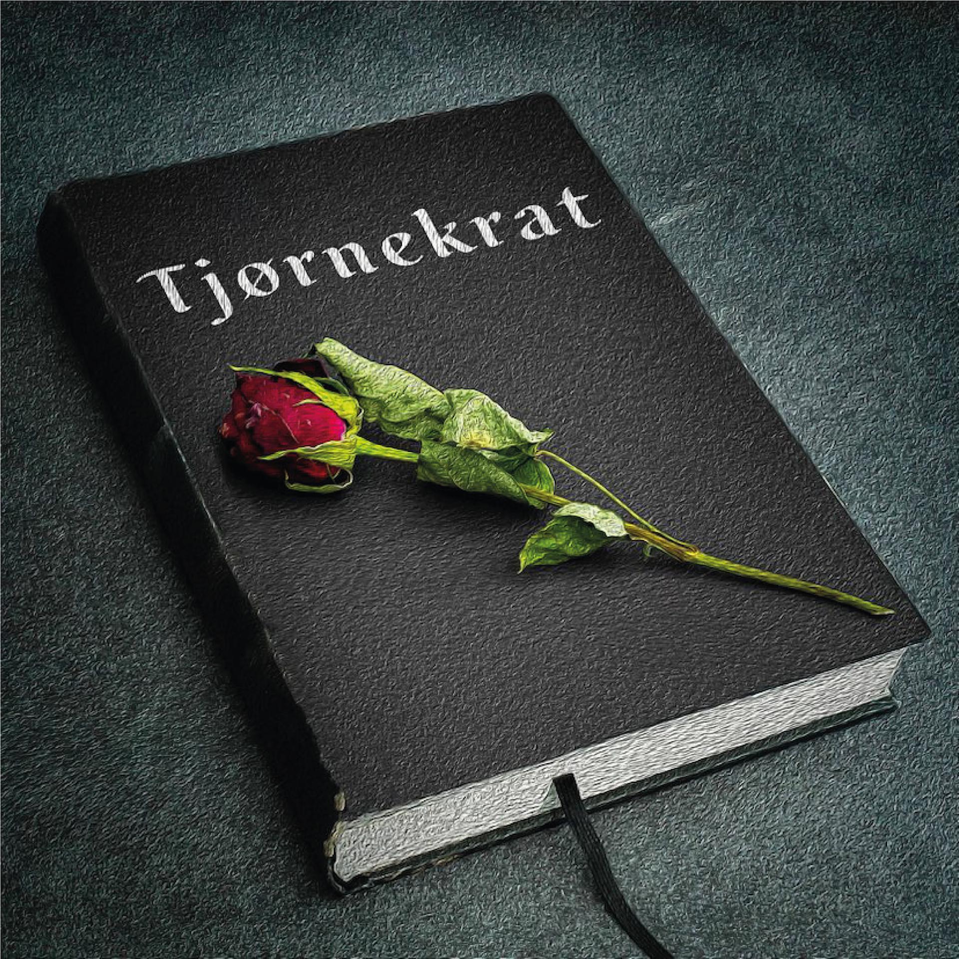 Постер альбома Tjørnekrat
