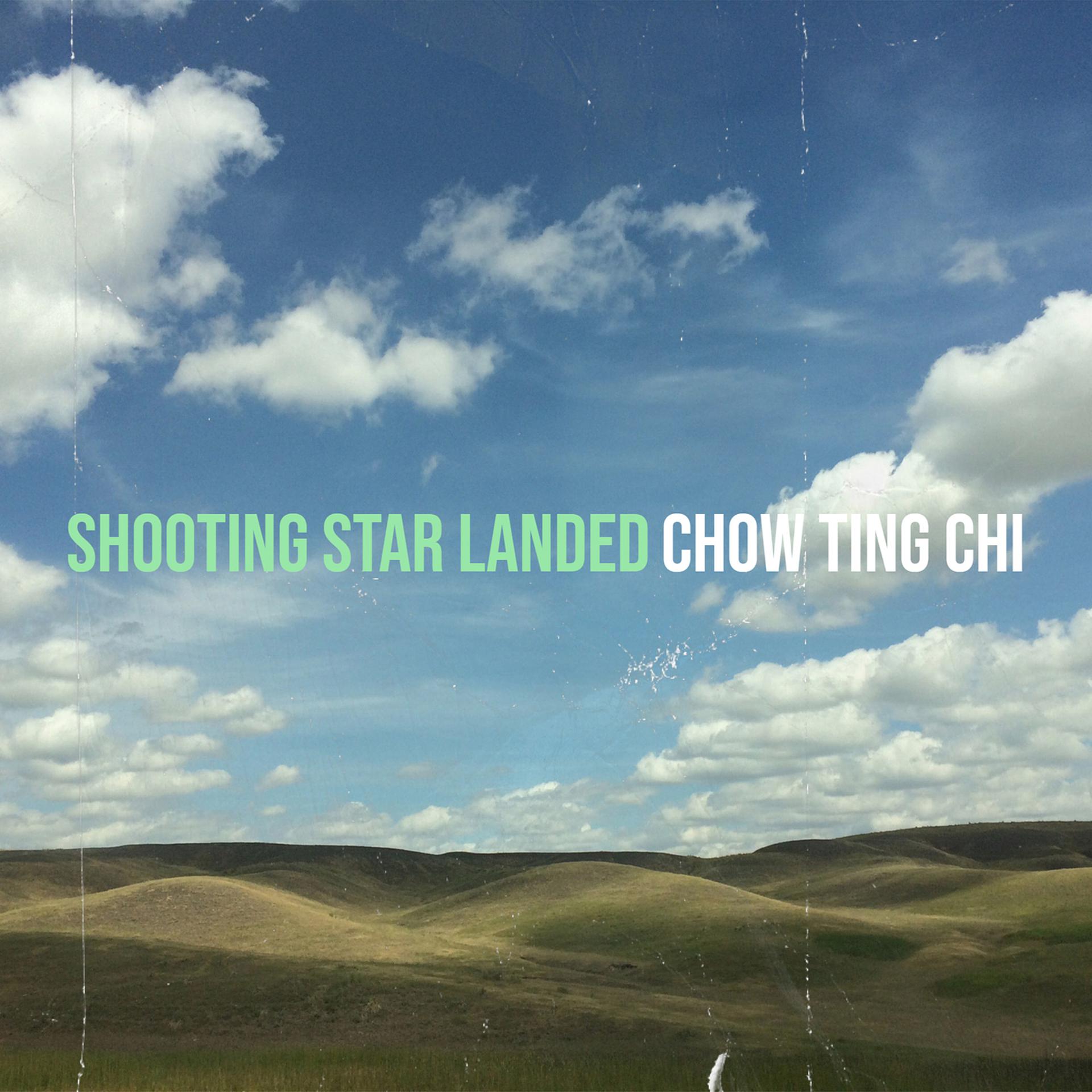 Постер альбома Shooting Star Landed