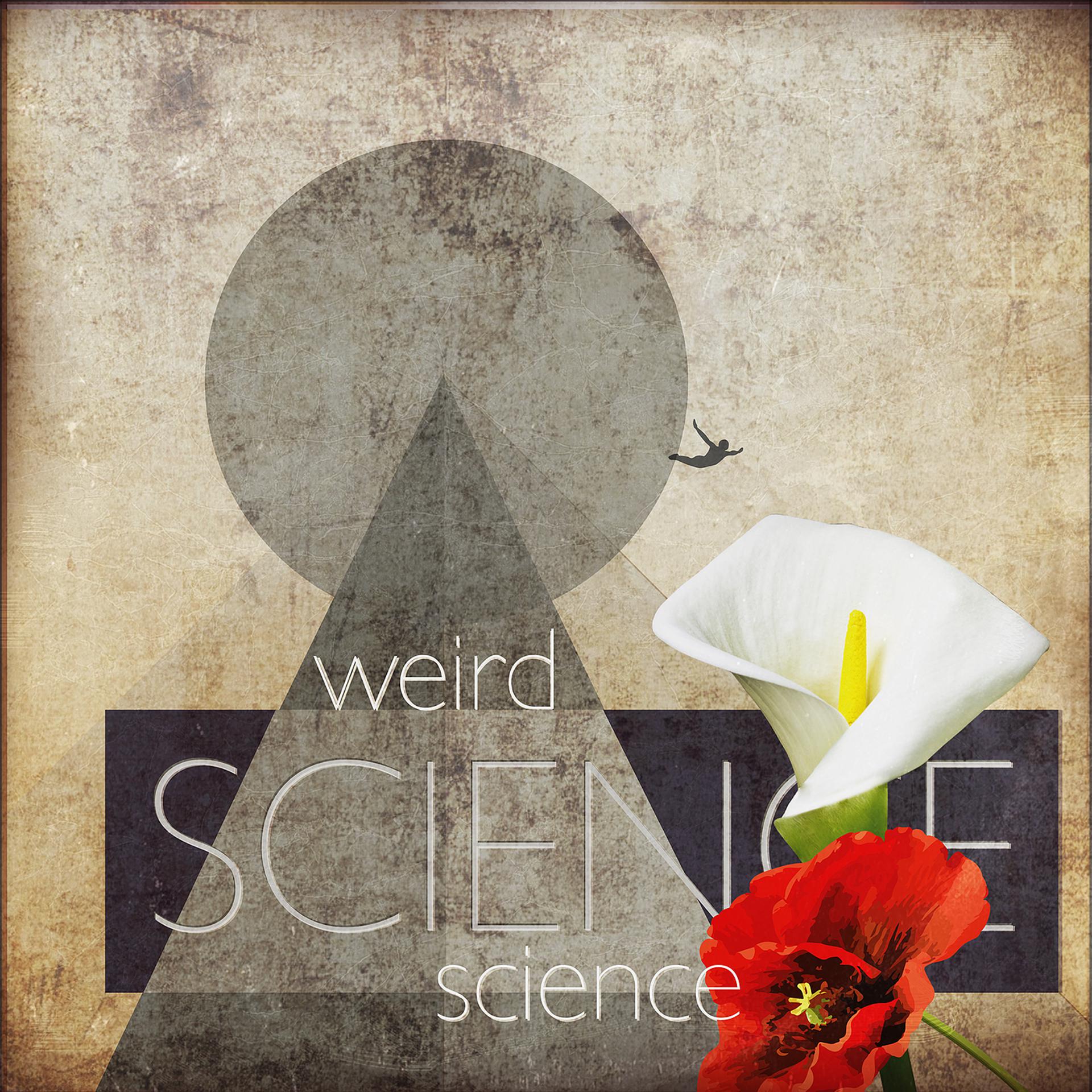 Постер альбома Weird Science