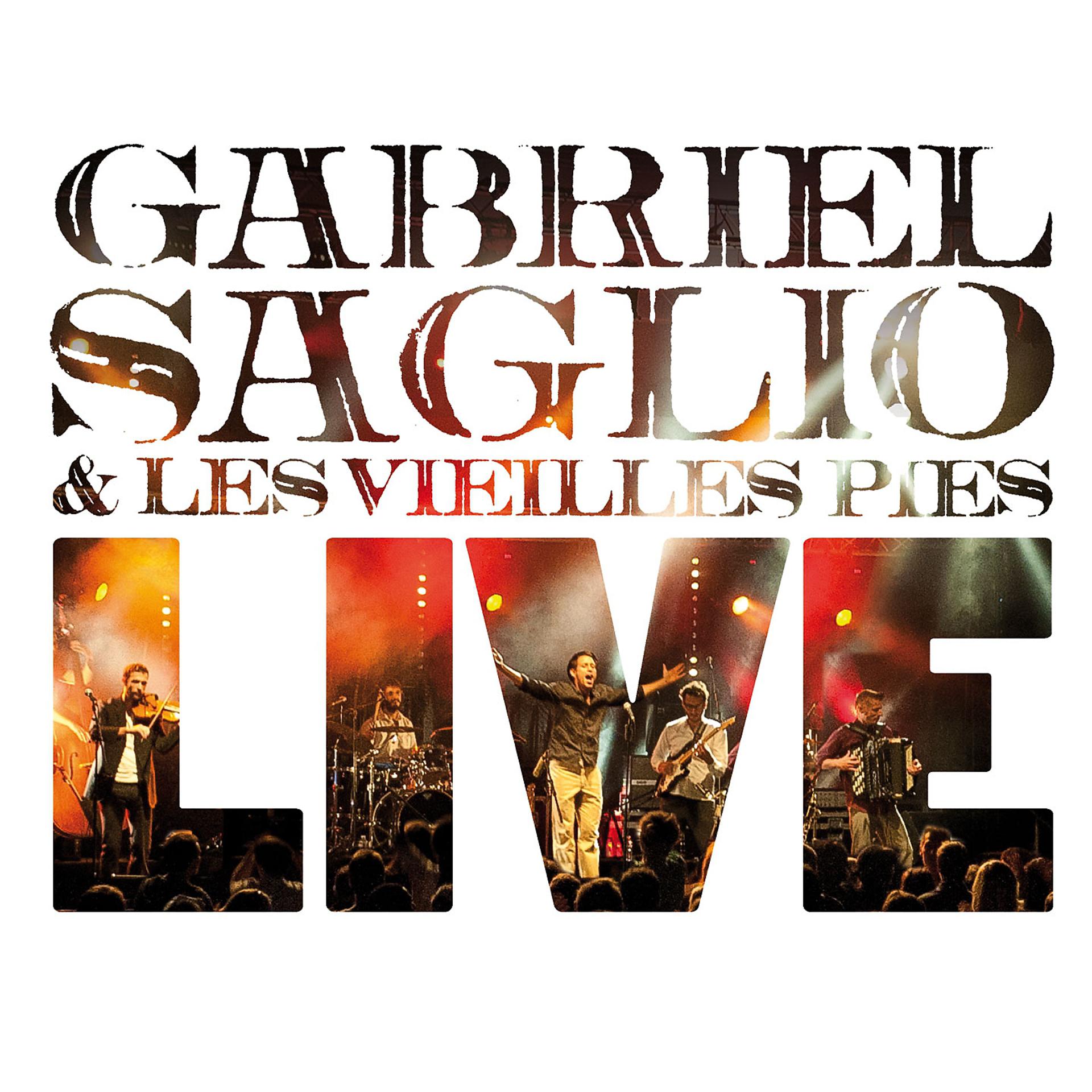 Постер альбома Gabriel Saglio & les vieilles pies