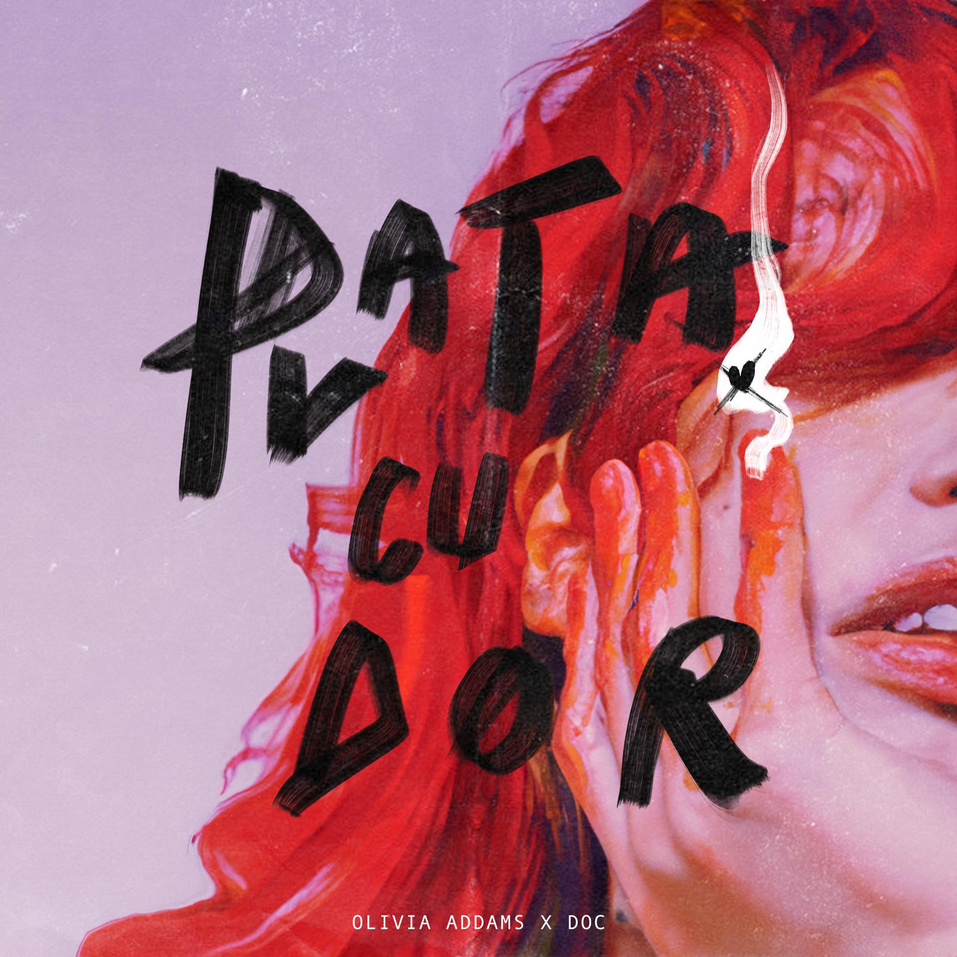 Постер альбома Plata cu dor