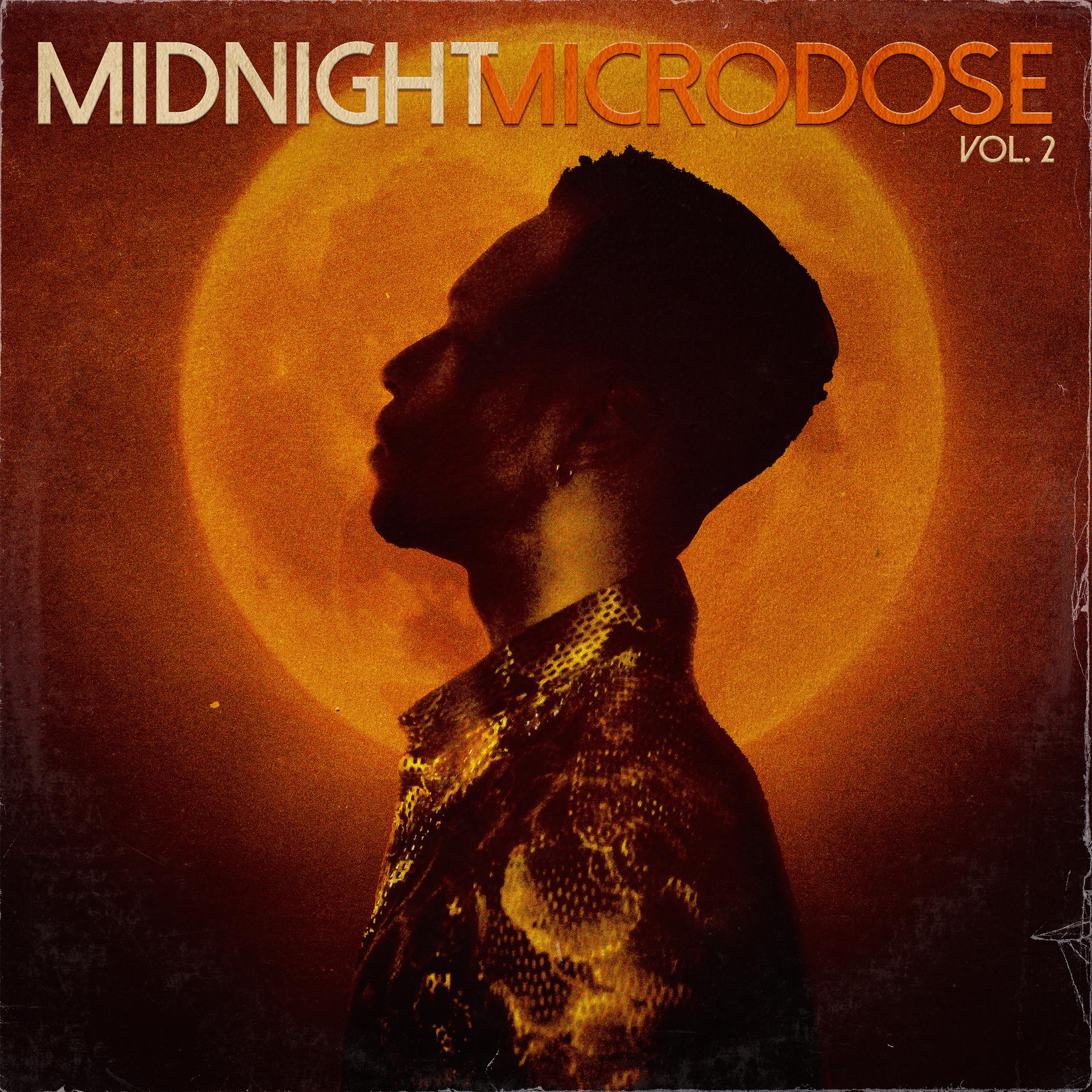 Постер альбома Midnight Microdose, Vol. 2