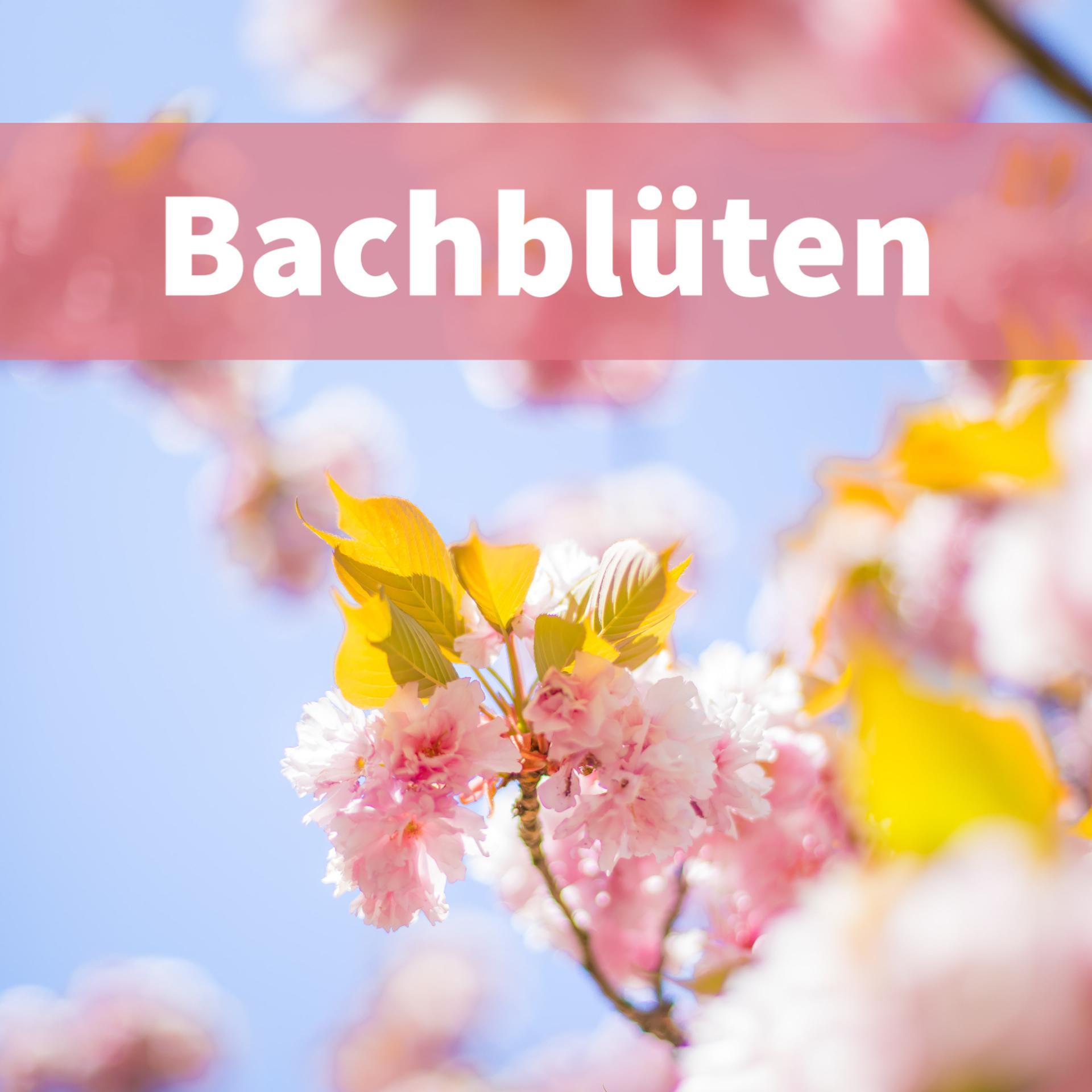 Постер альбома Bachblüten