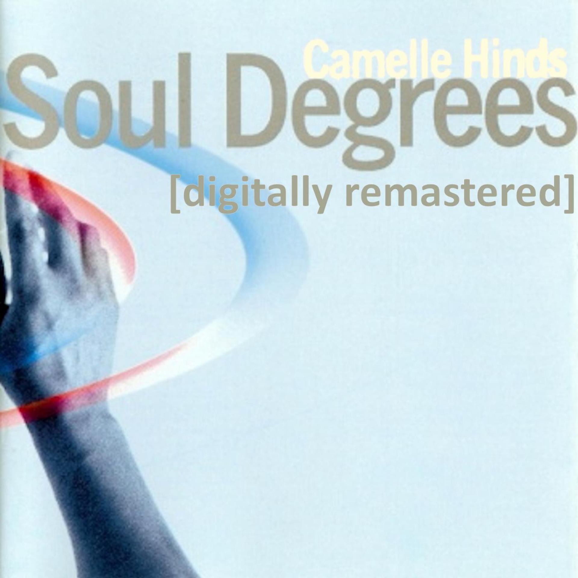 Постер альбома Soul Degrees [Digitally Remastered]