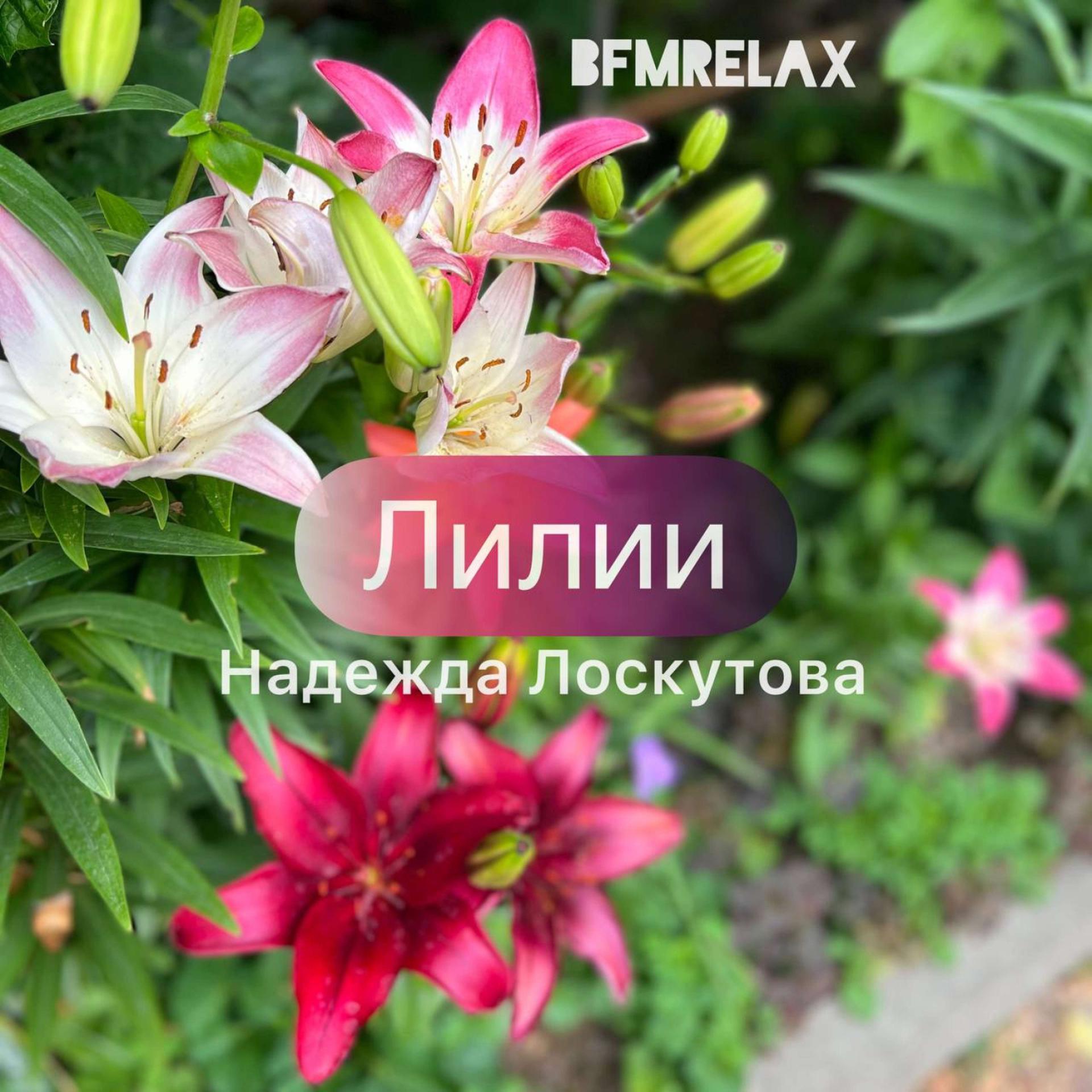 Постер альбома Лилии ( BFMrelax, Надежда Лоскутова, ambient, chillout, классика, )