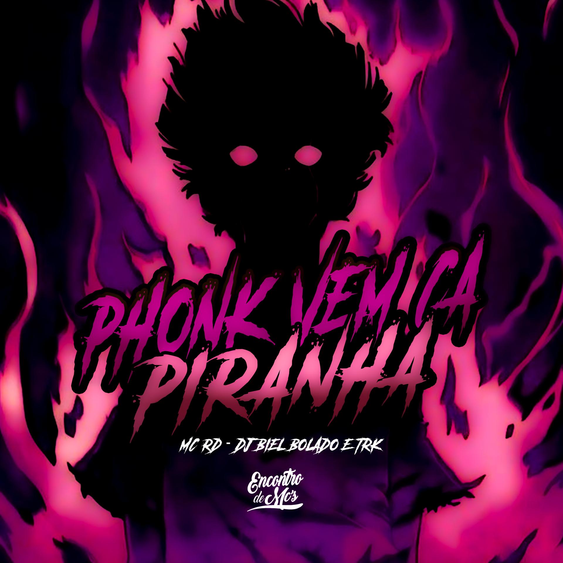 Постер альбома Phonk Vem Ca Piranha