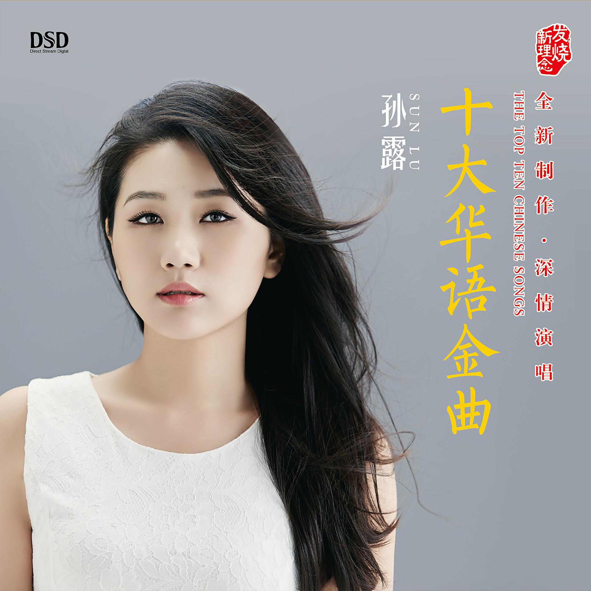 Постер альбома 十大华语金曲