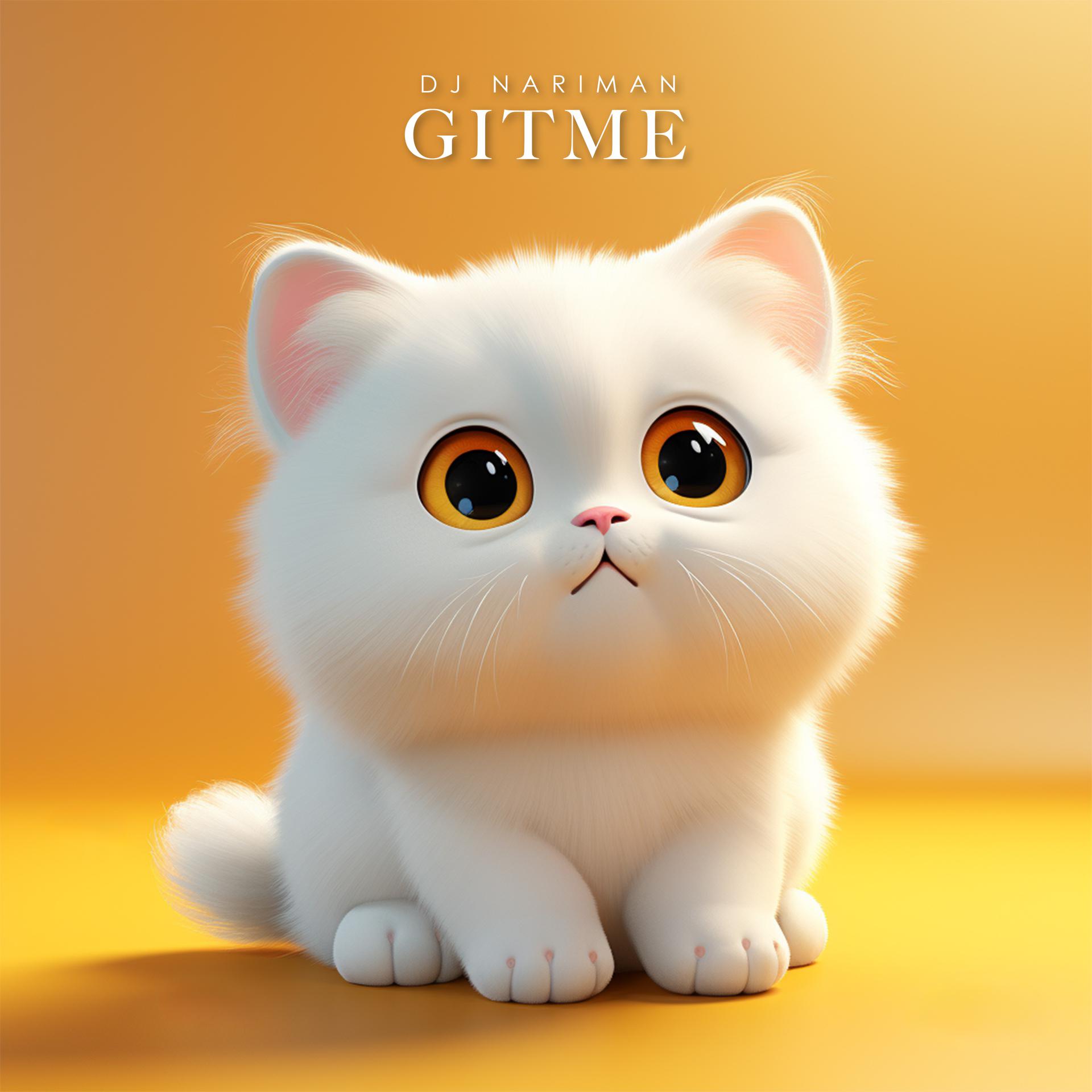 Постер альбома Gitme