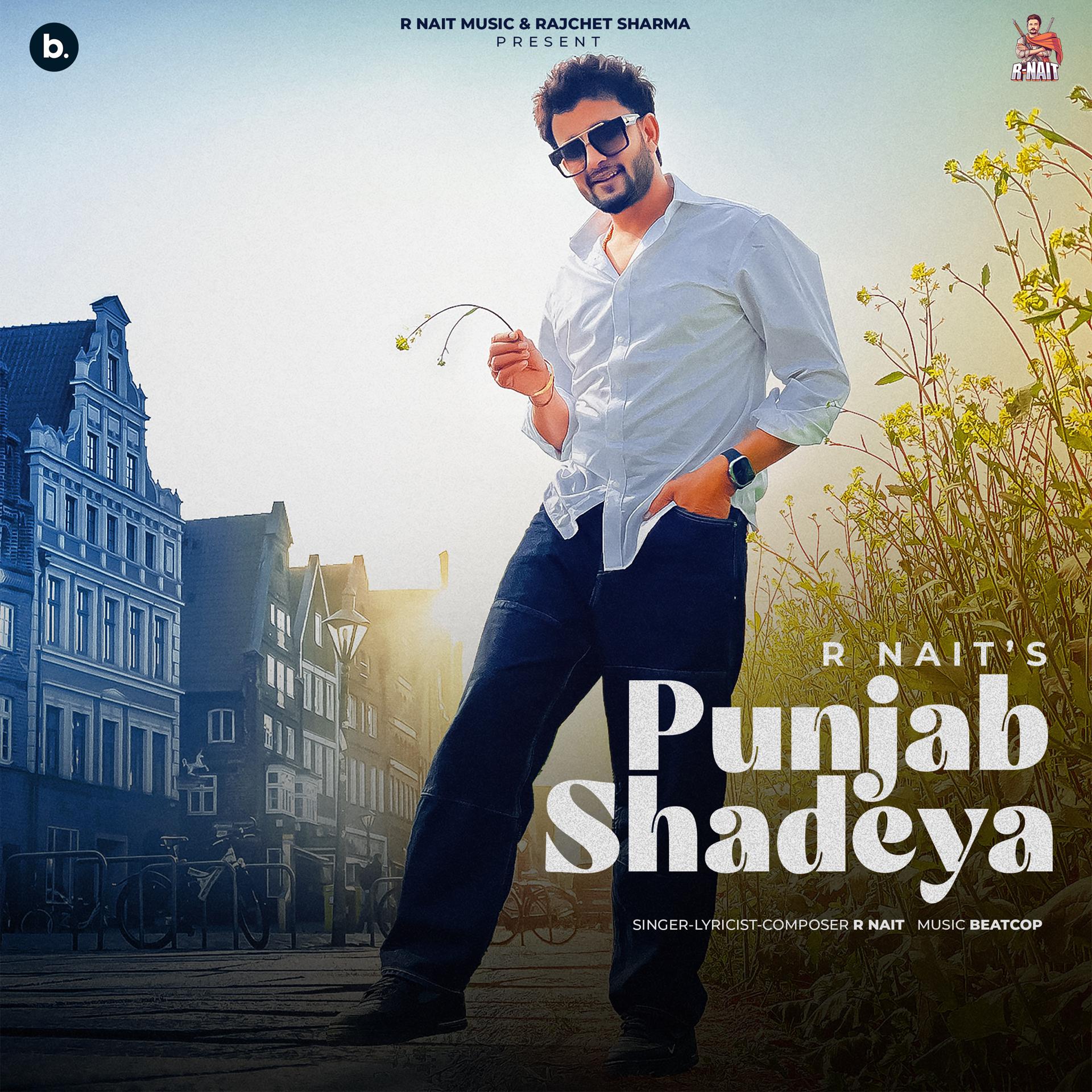 Постер альбома Punjab Shadeya