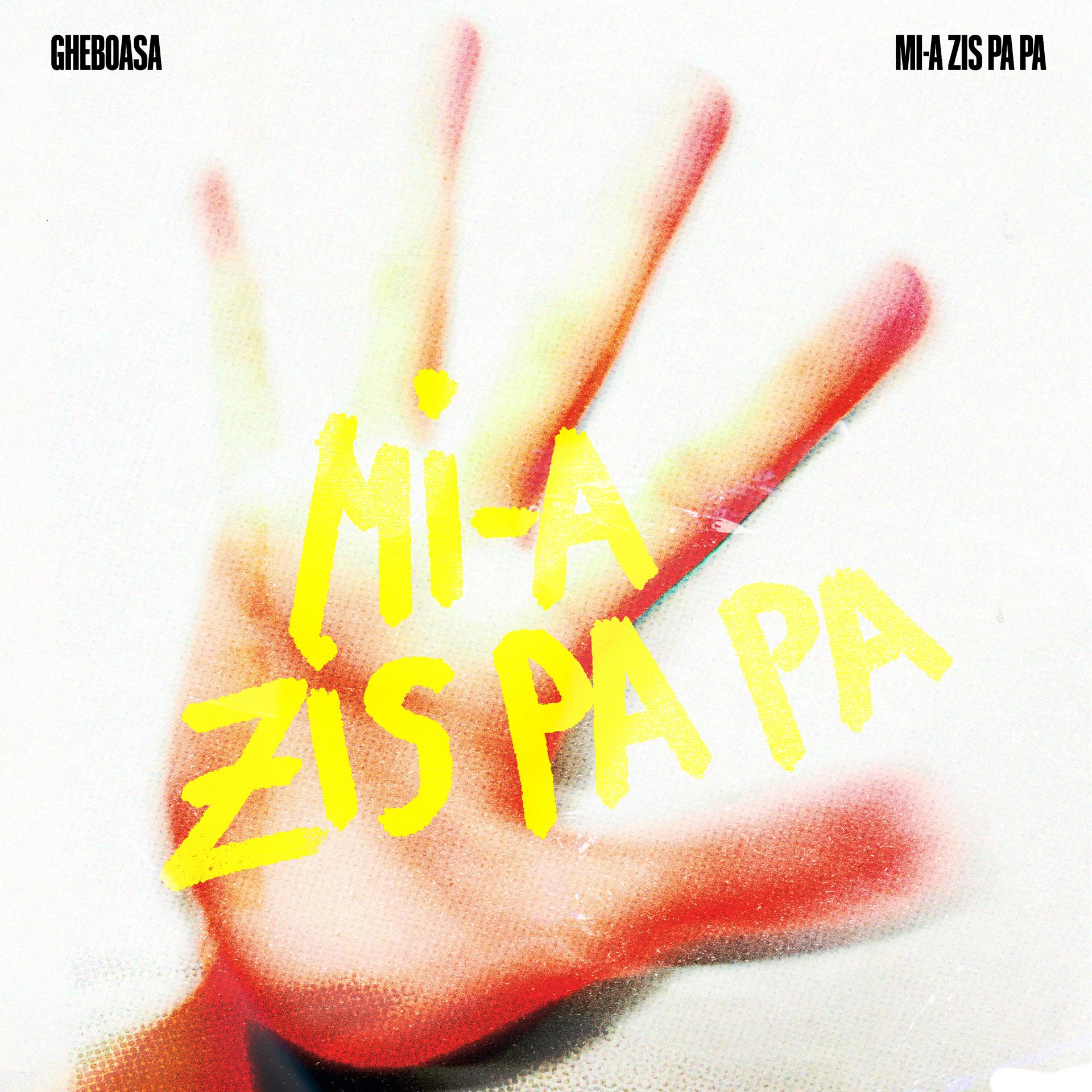 Постер альбома Mi-a zis pa pa