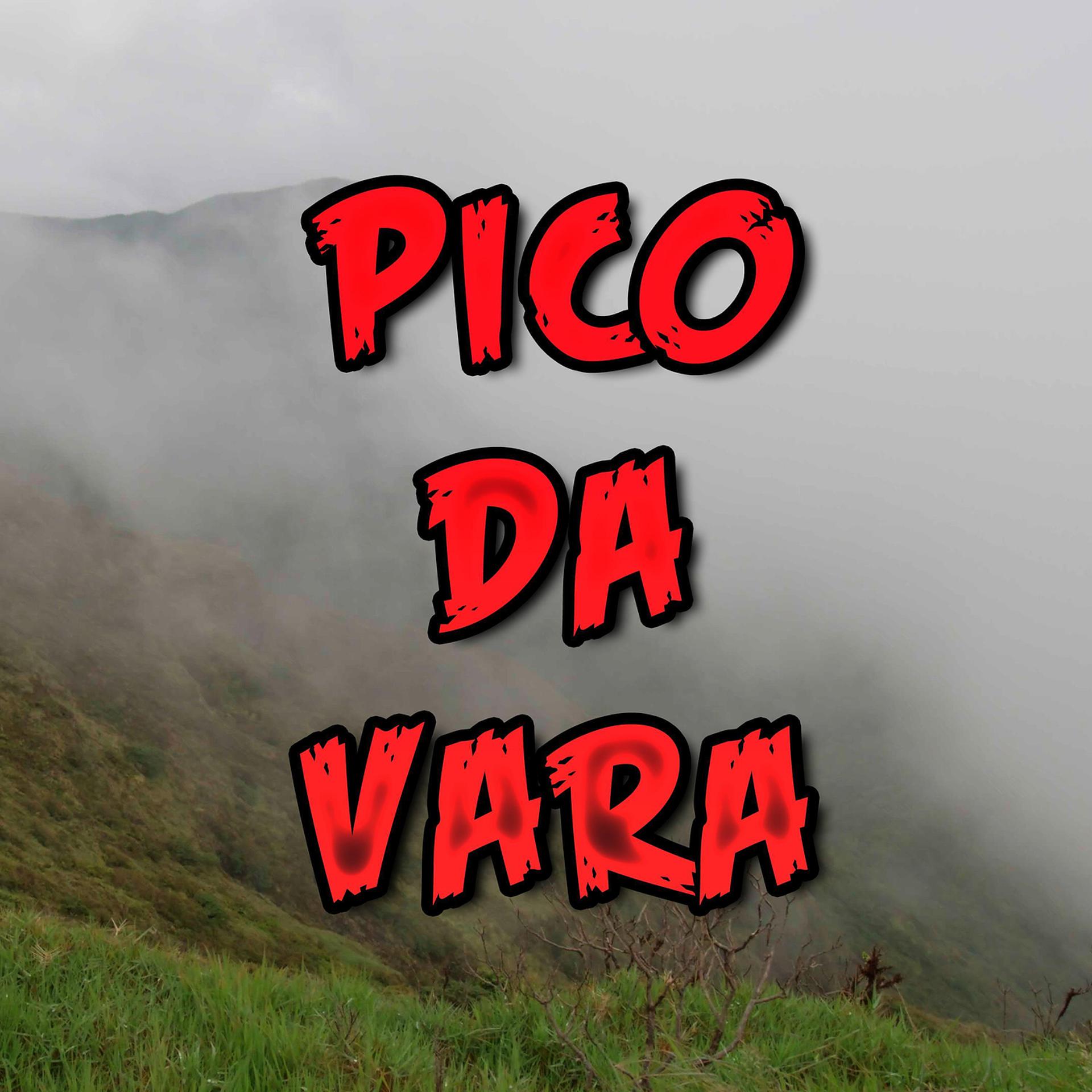 Постер альбома Pico da Vara