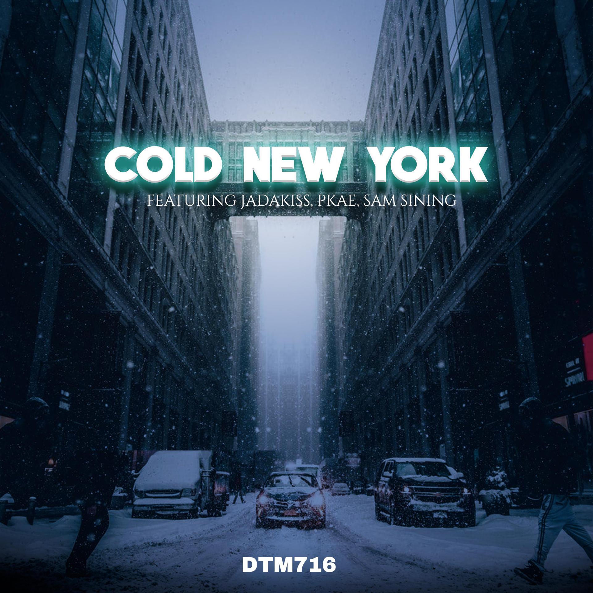 Постер альбома Cold New York (feat. Jadakiss,Pkae & Sam Sining)