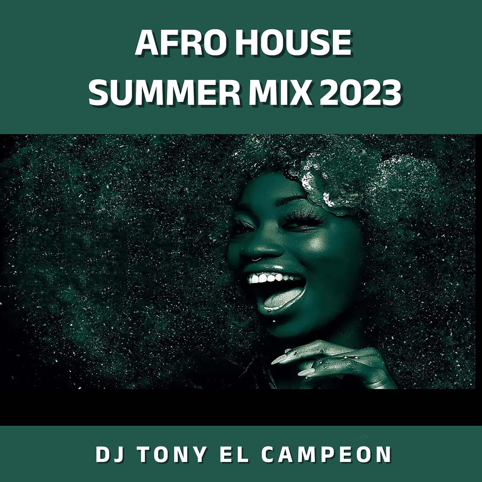 Постер альбома Afro House (Summer Mix 2023)