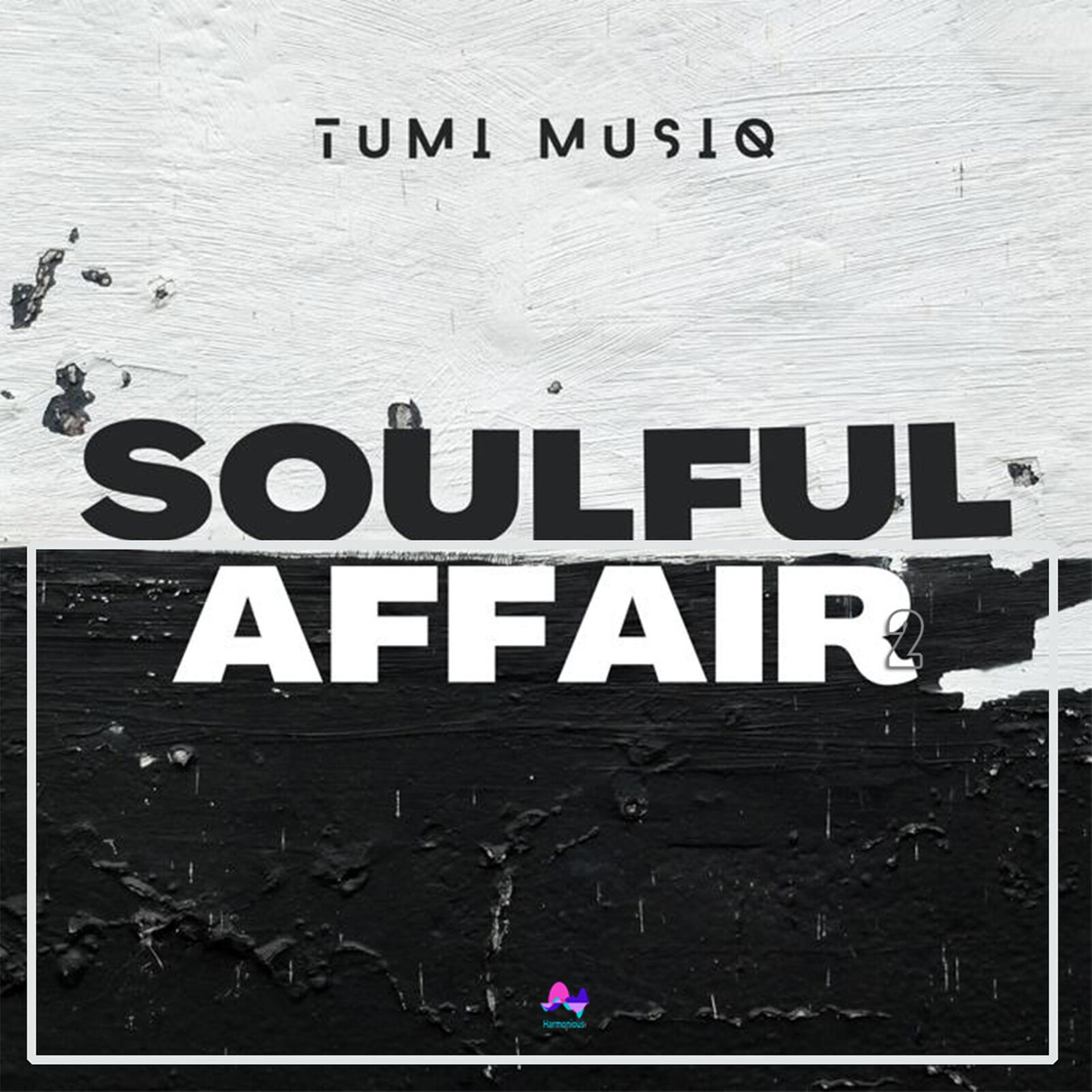 Постер альбома Soulful Affair