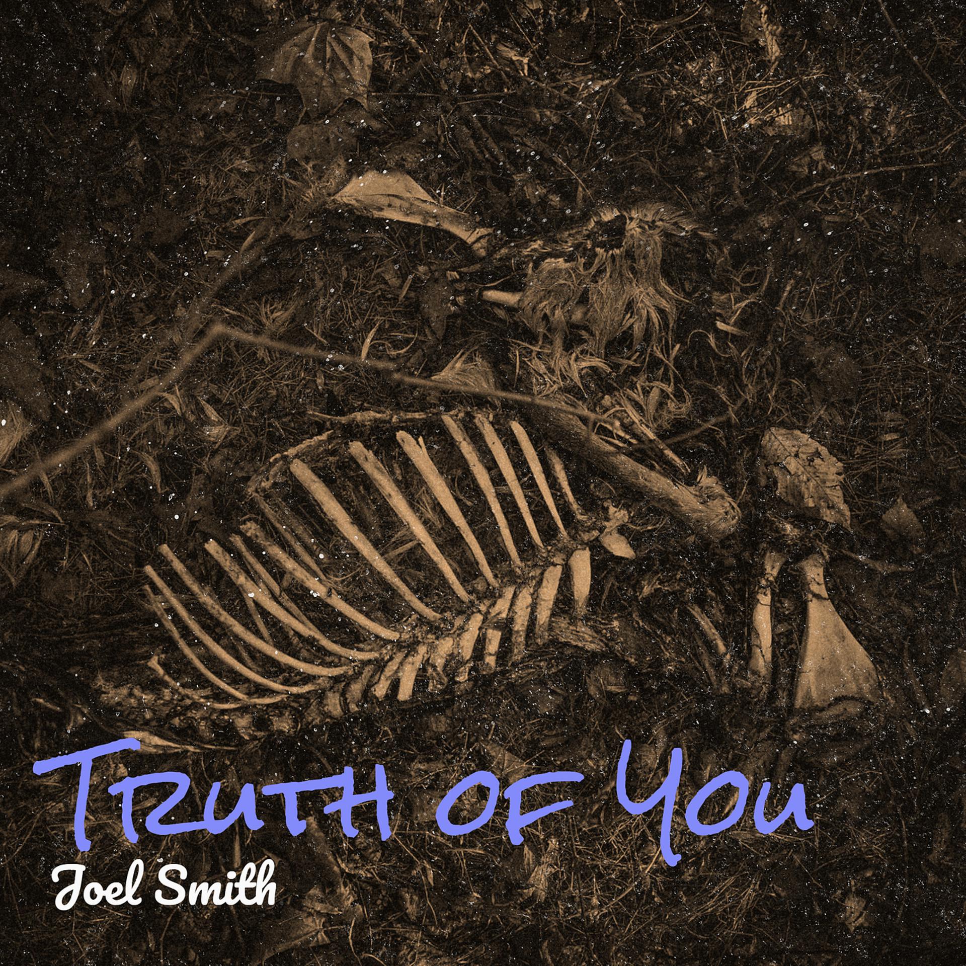 Постер альбома Truth of You