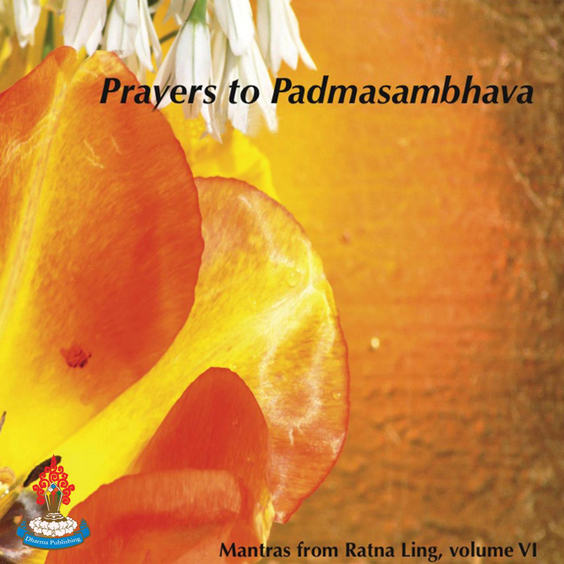 Постер альбома Mantras from Ratna Ling, Vol. 6: Prayers to Padmasambhava