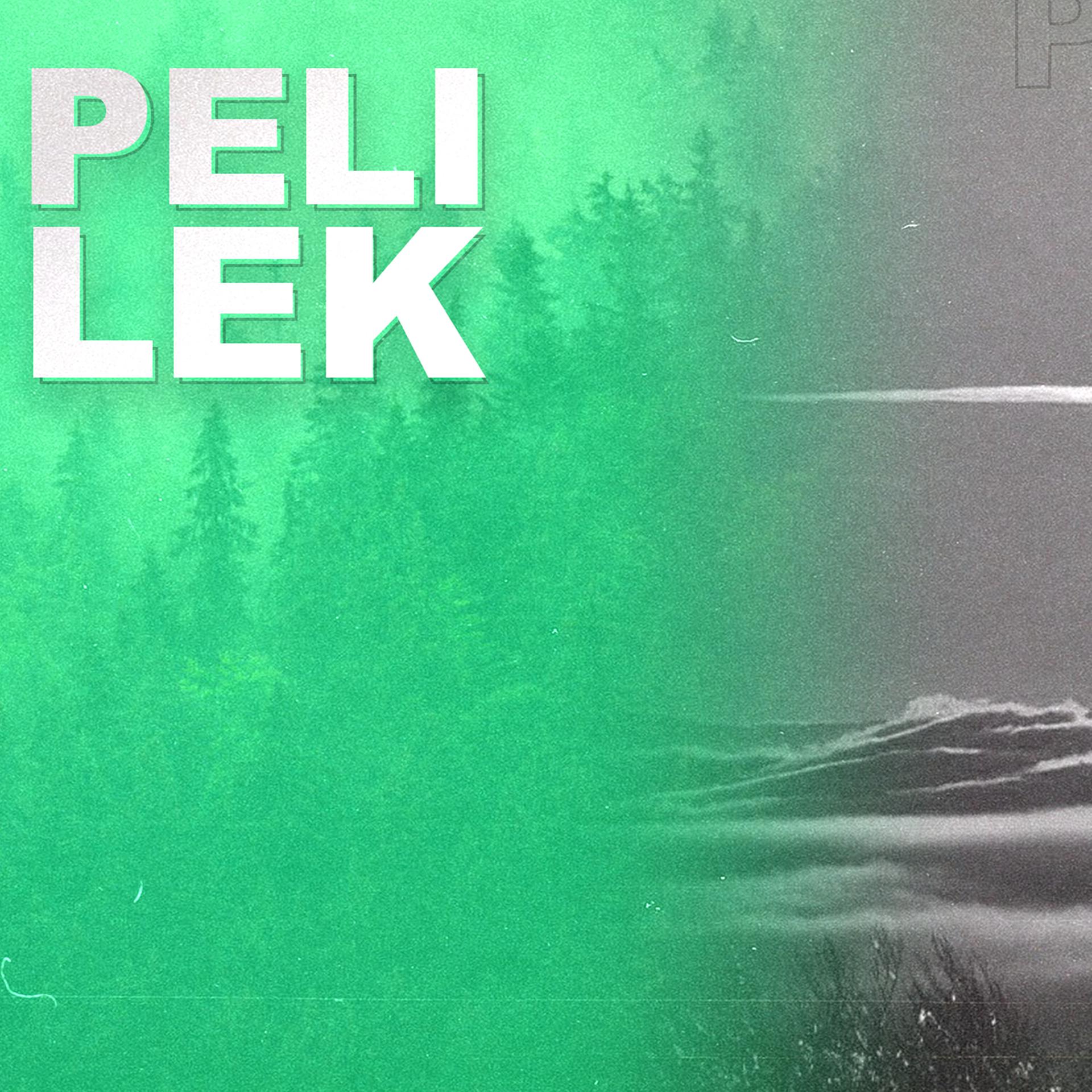 Постер альбома Lek