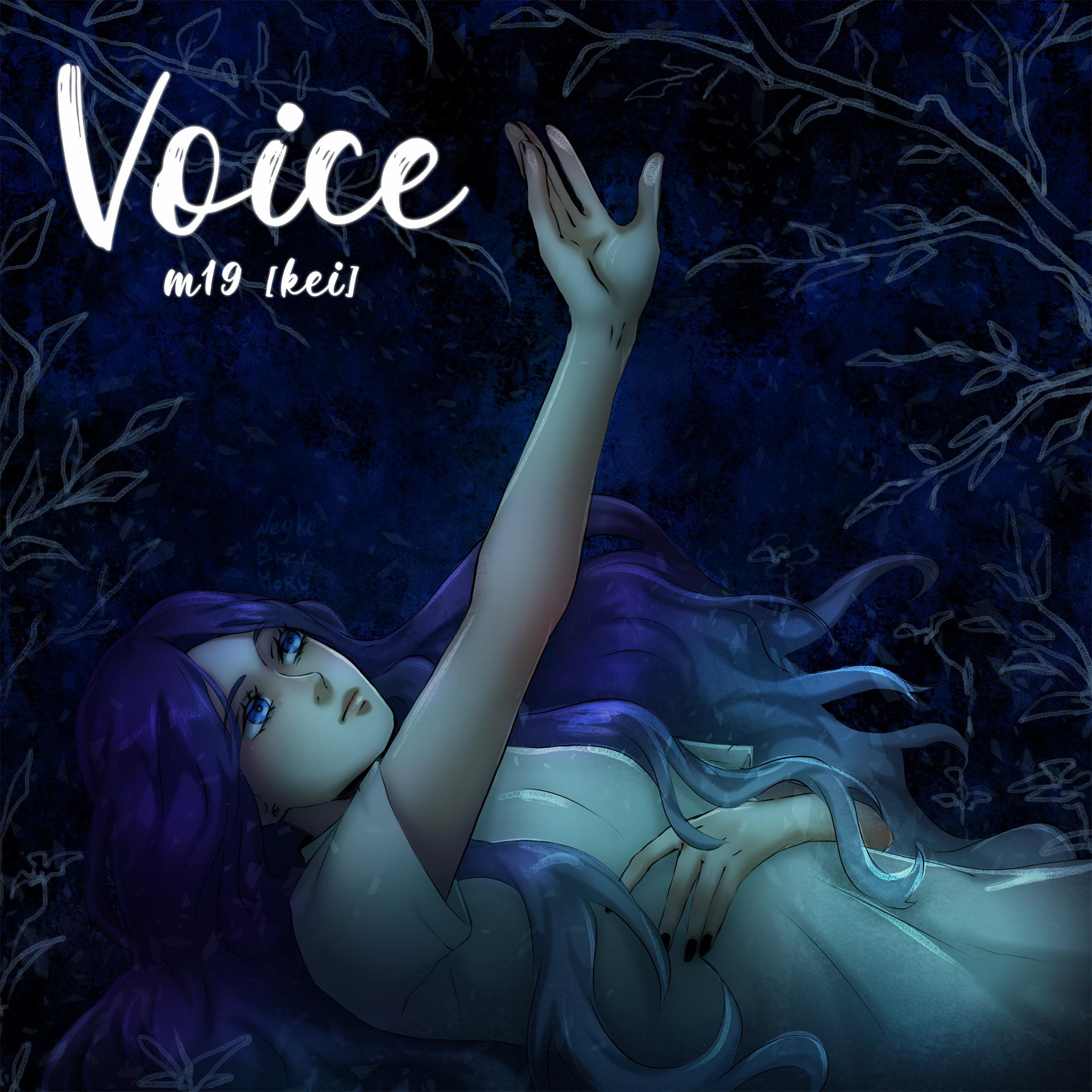 Постер альбома Voice
