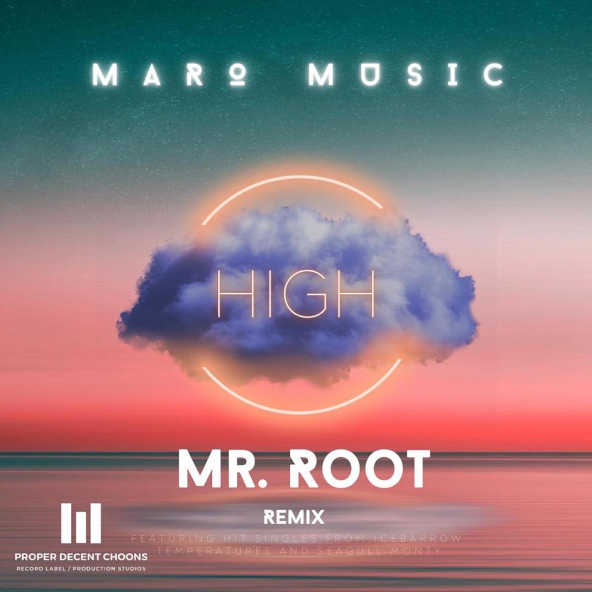Постер альбома High (Mr. Root Remix)