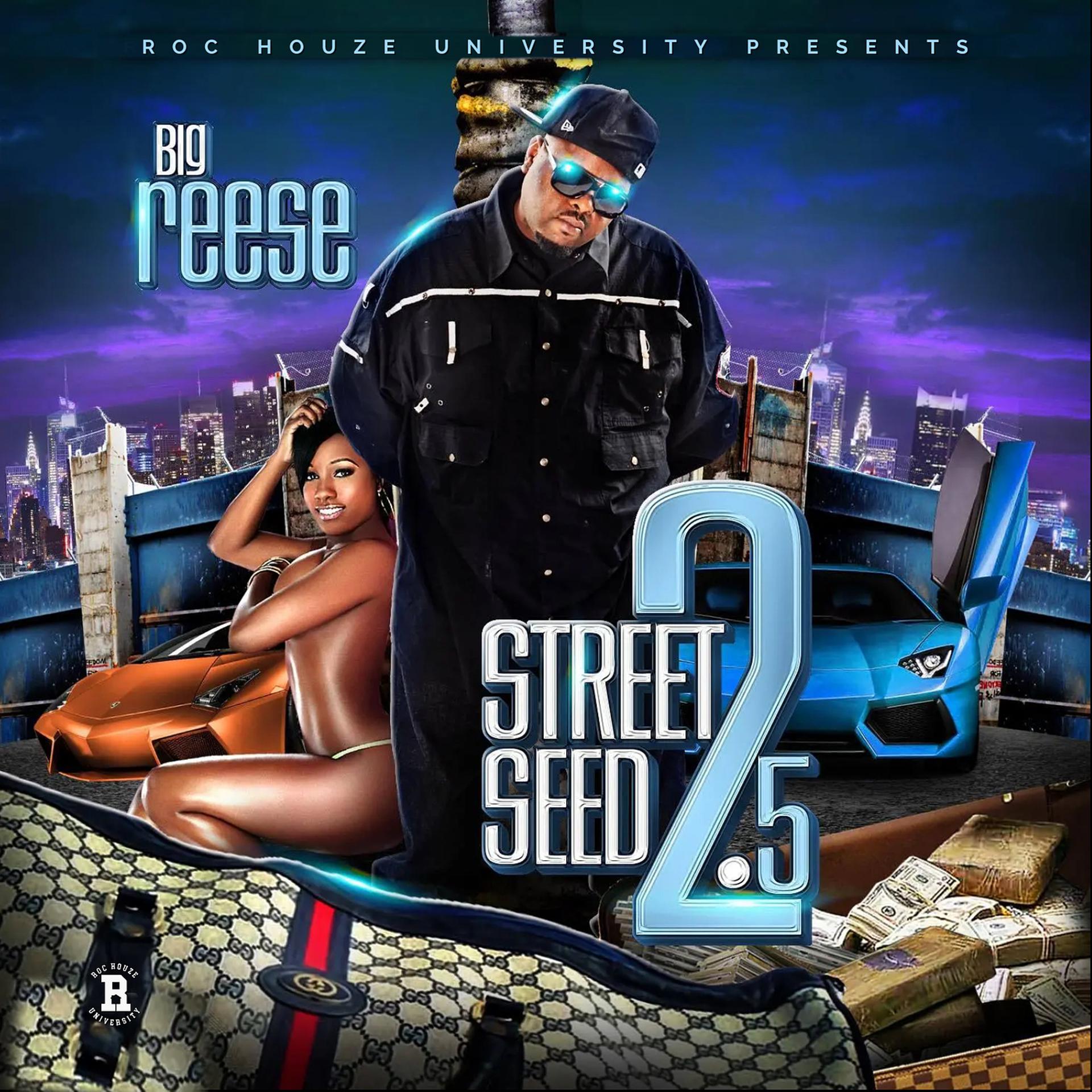 Постер альбома Street Seed 2.5