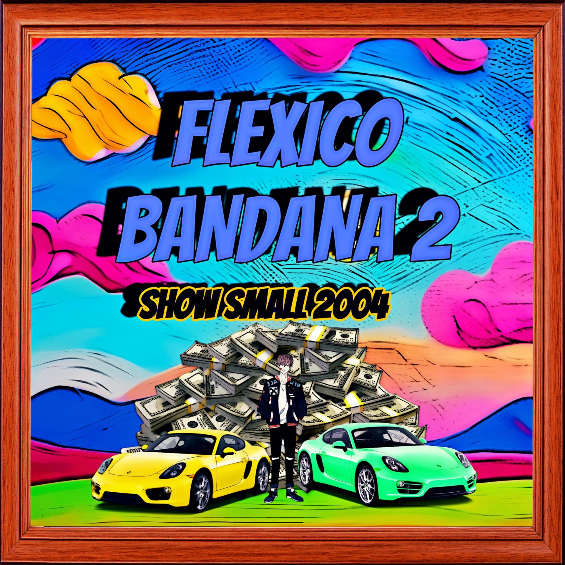 Постер альбома FLEXICO BANDANA 2