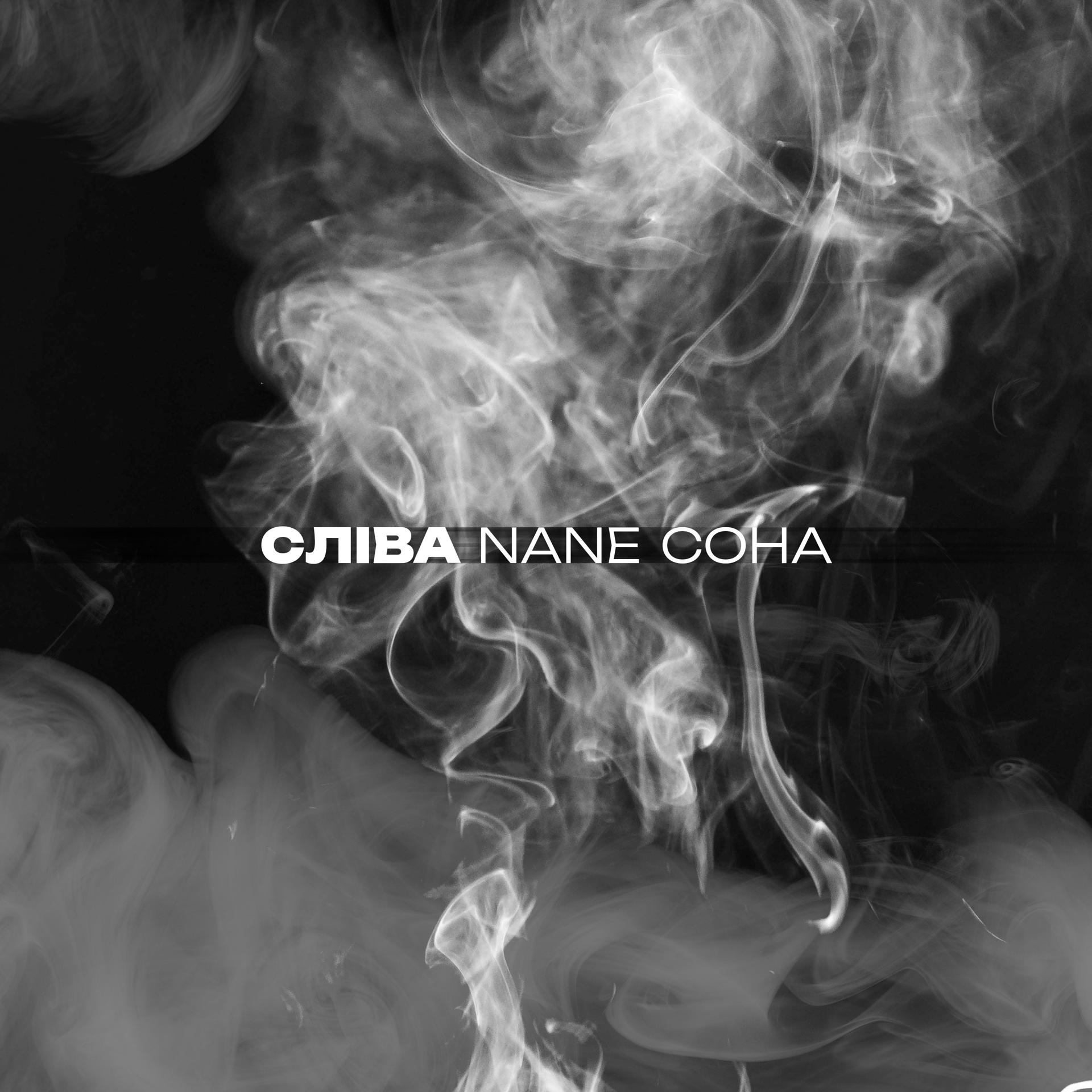 Постер альбома Nane Coha
