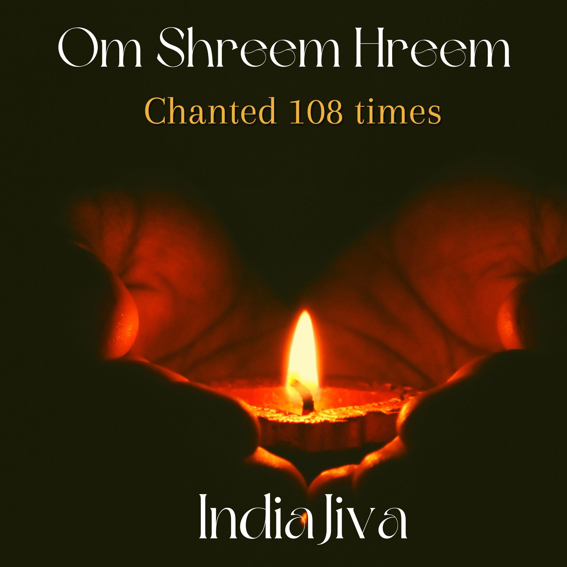 Постер альбома Om Shreem Hreem 108