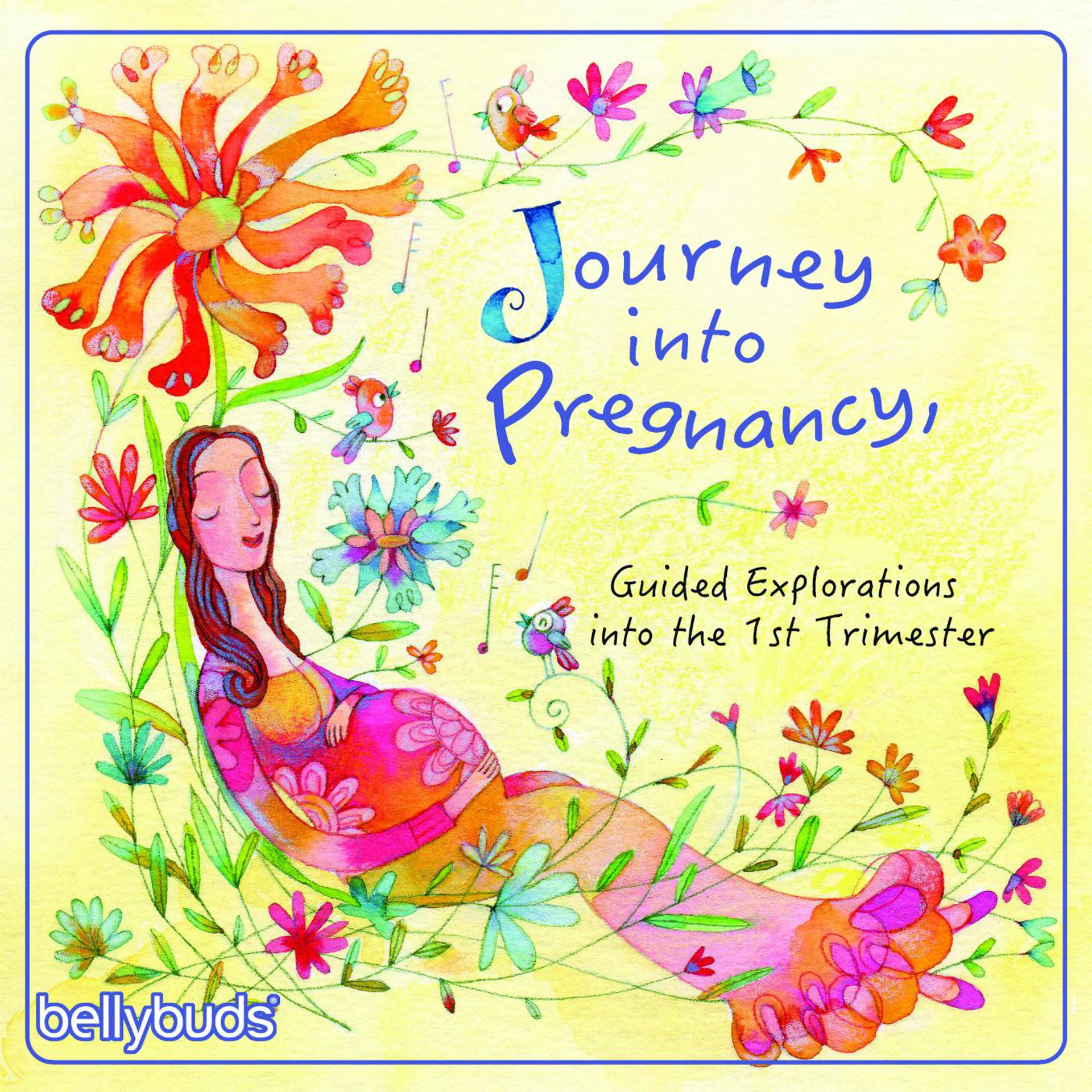 Постер альбома Journey into Pregnancy, Guided Explorations into the 1st Trimester