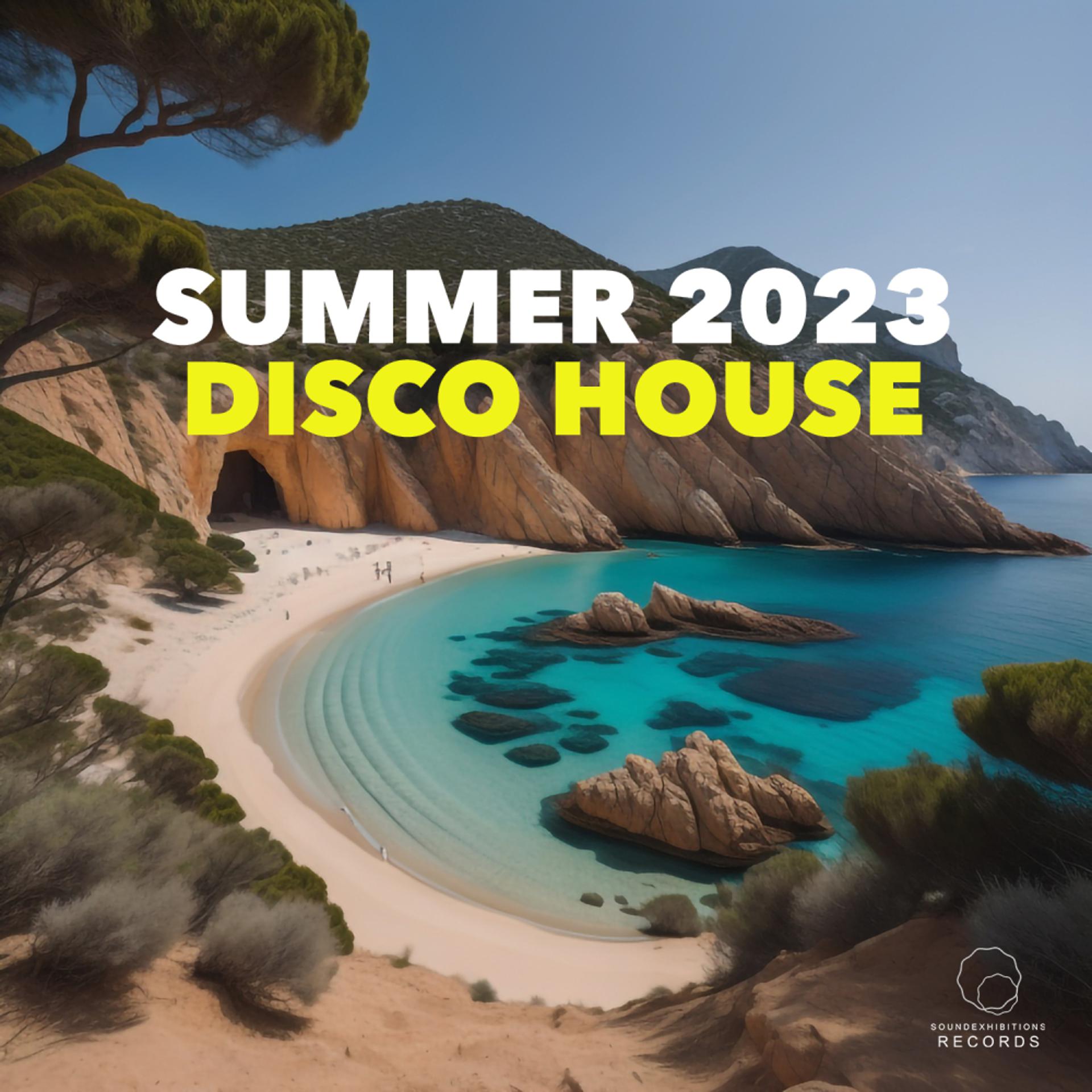 Постер альбома Summer 2023 Disco House