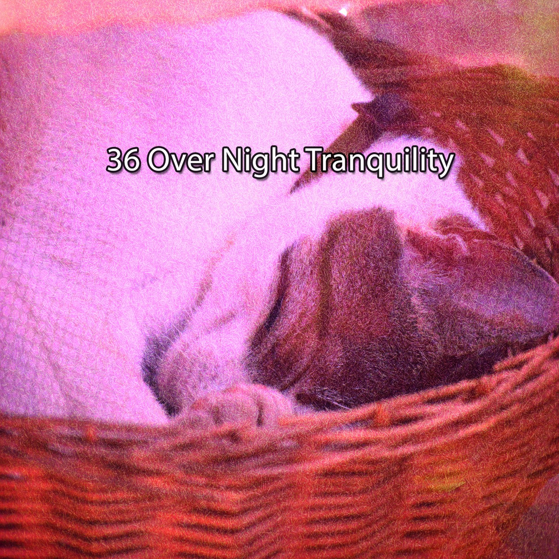 Постер альбома 36 Over Night Tranquility