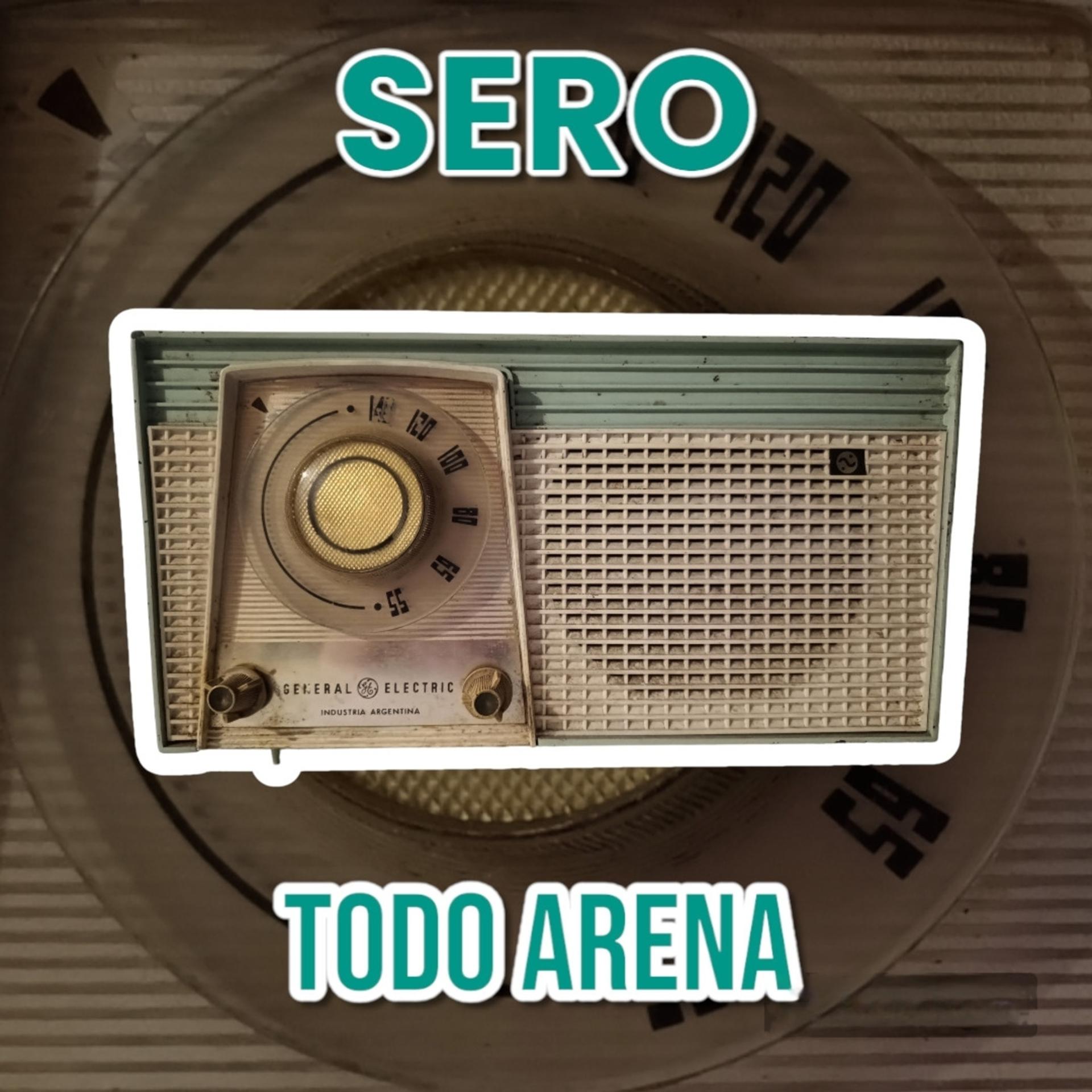 Постер альбома Todo Arena