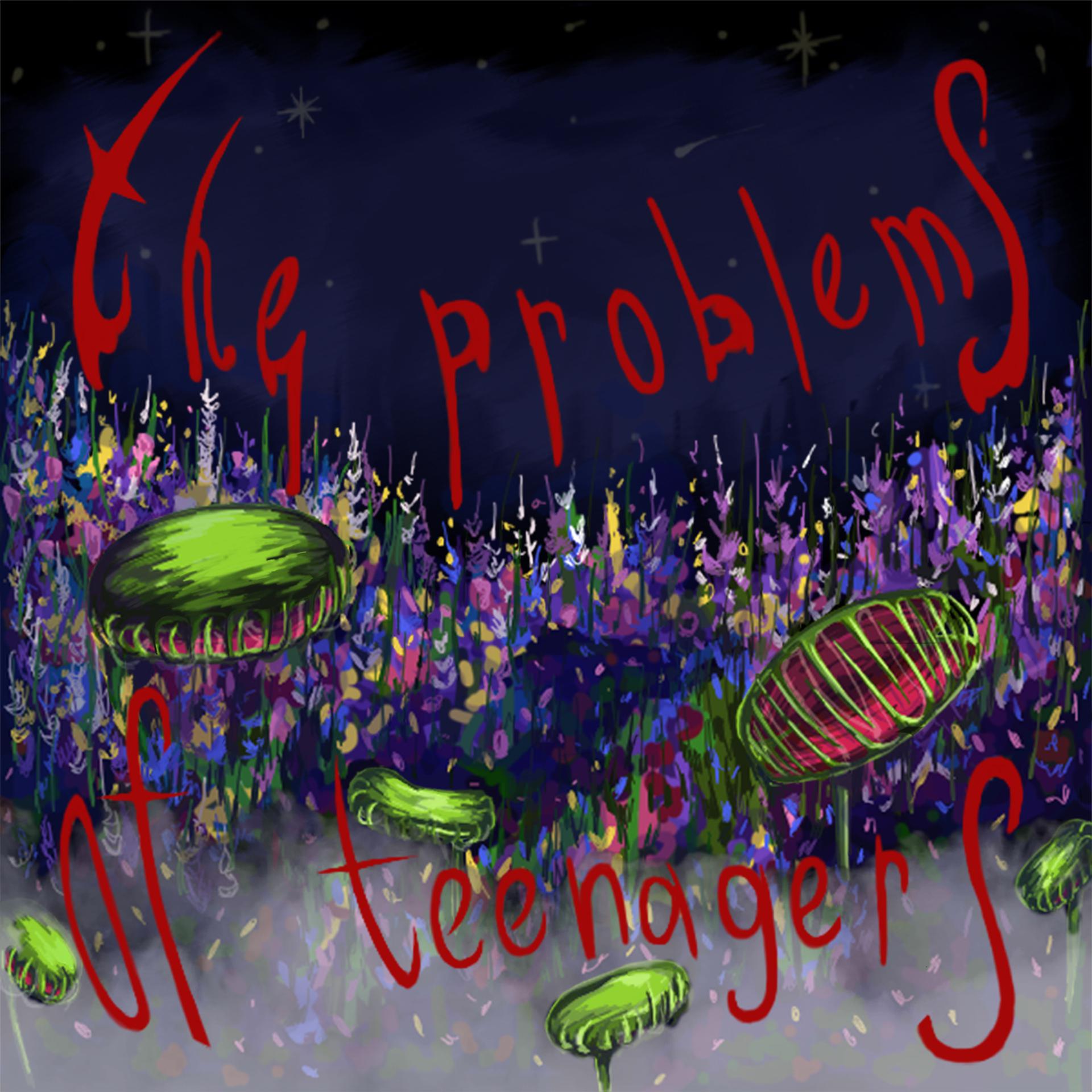 Постер альбома The Problems of Teenagers