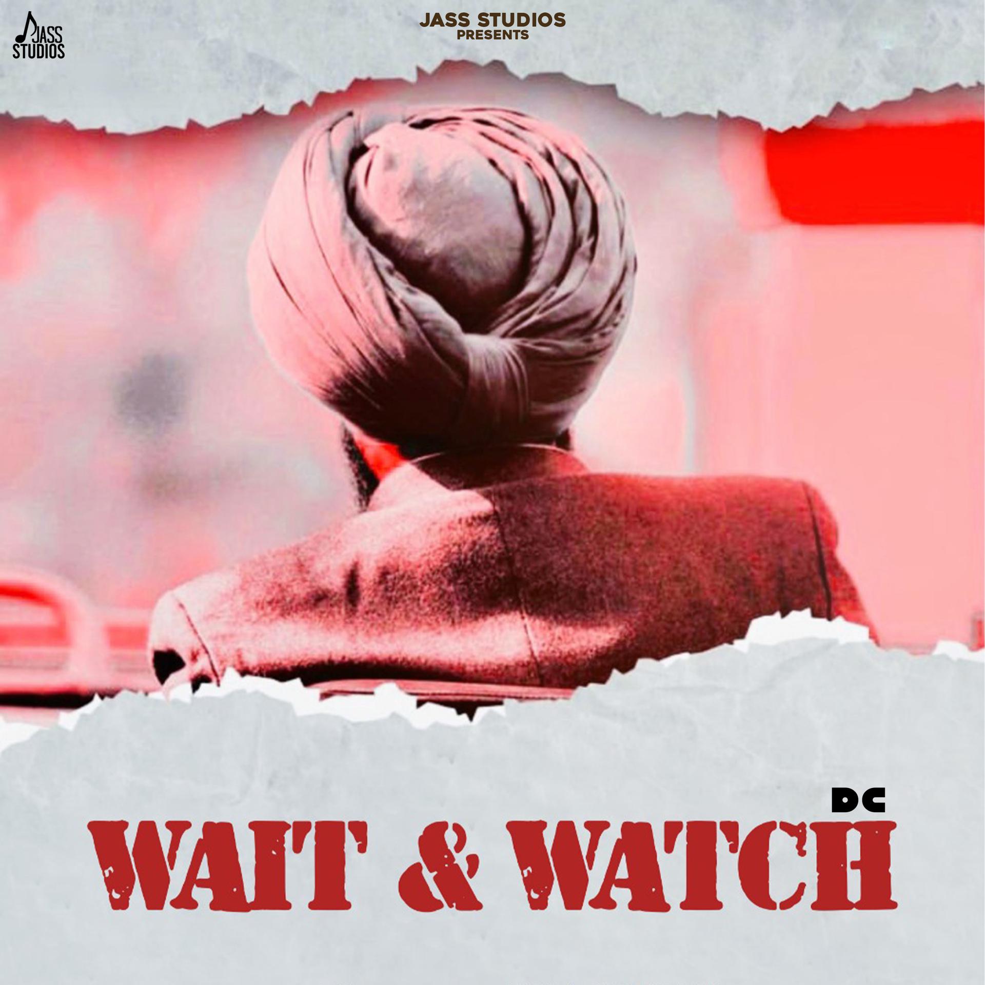 Постер альбома Wait & Watch