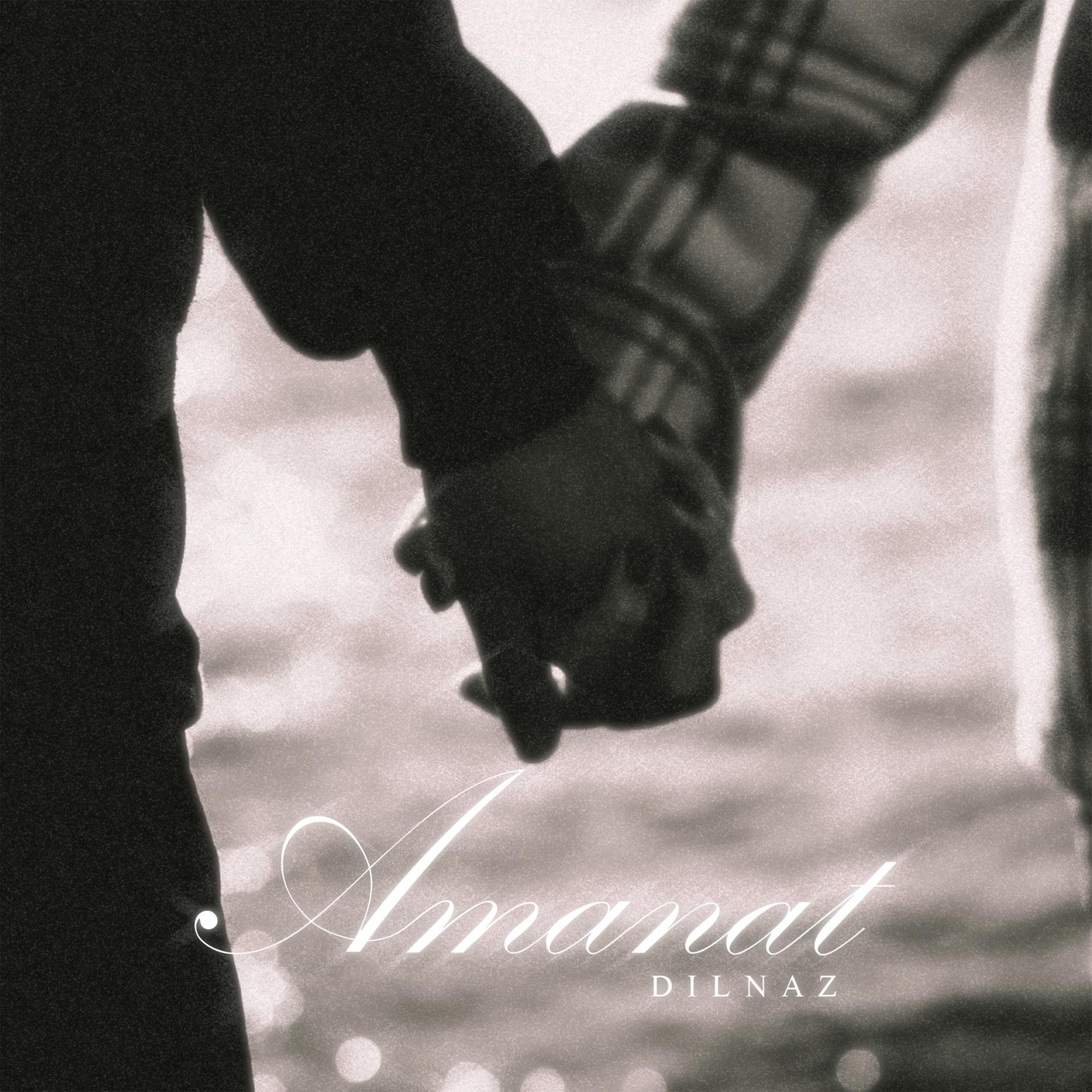 Постер альбома Amanat