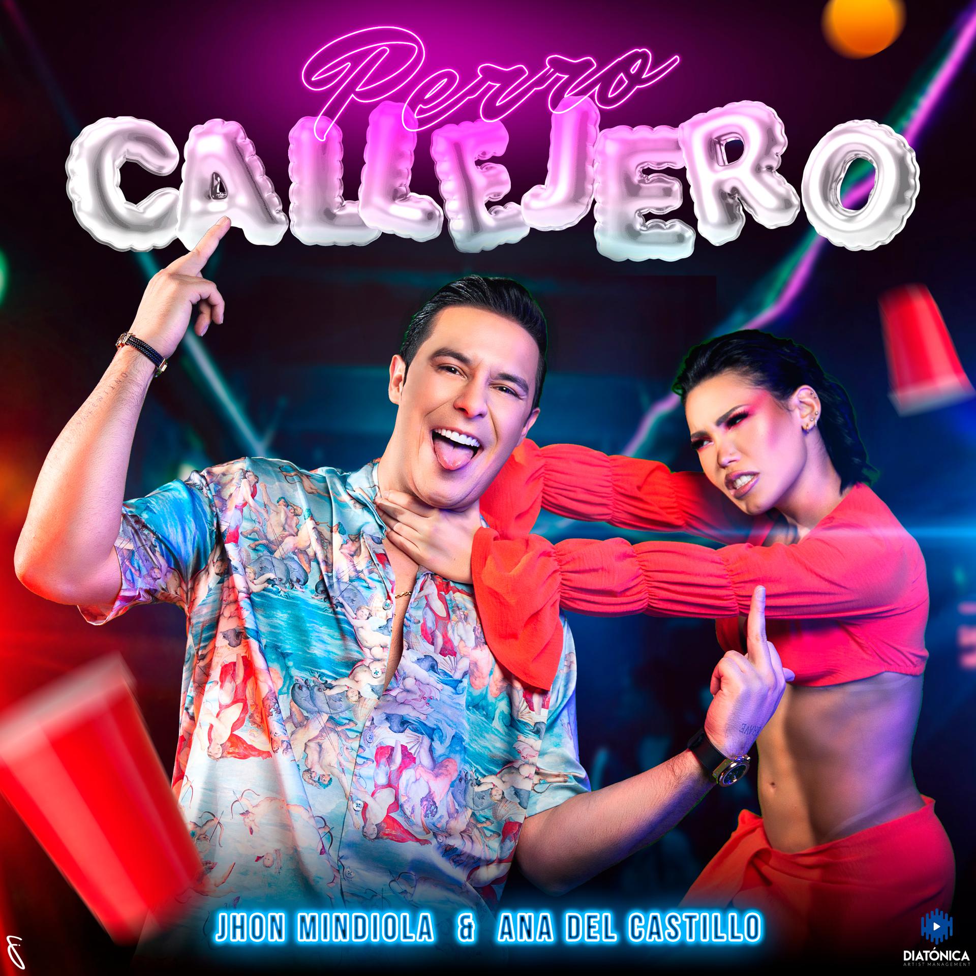 Постер альбома Perro Callejero