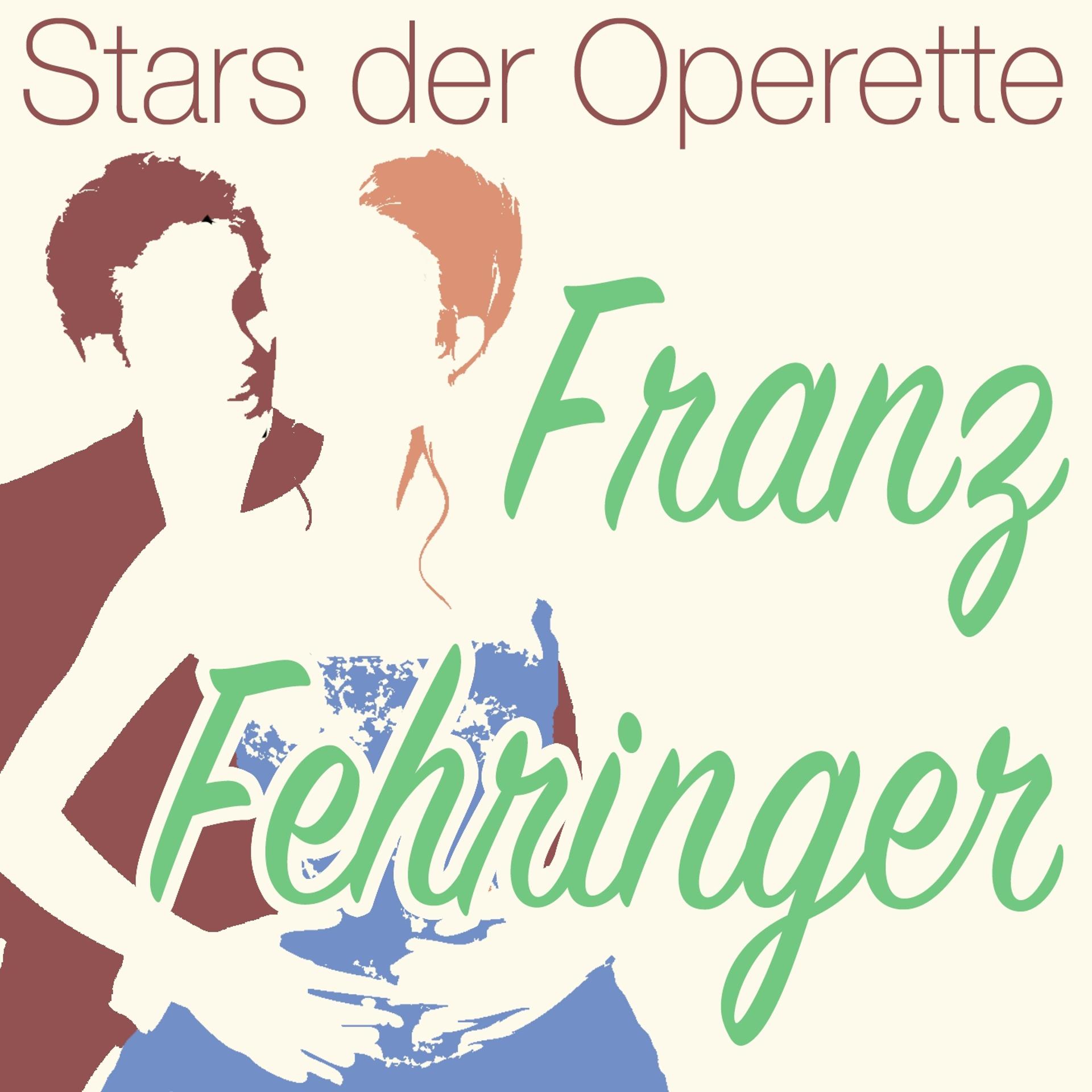 Постер альбома Stars der Operette: Franz Fehringer