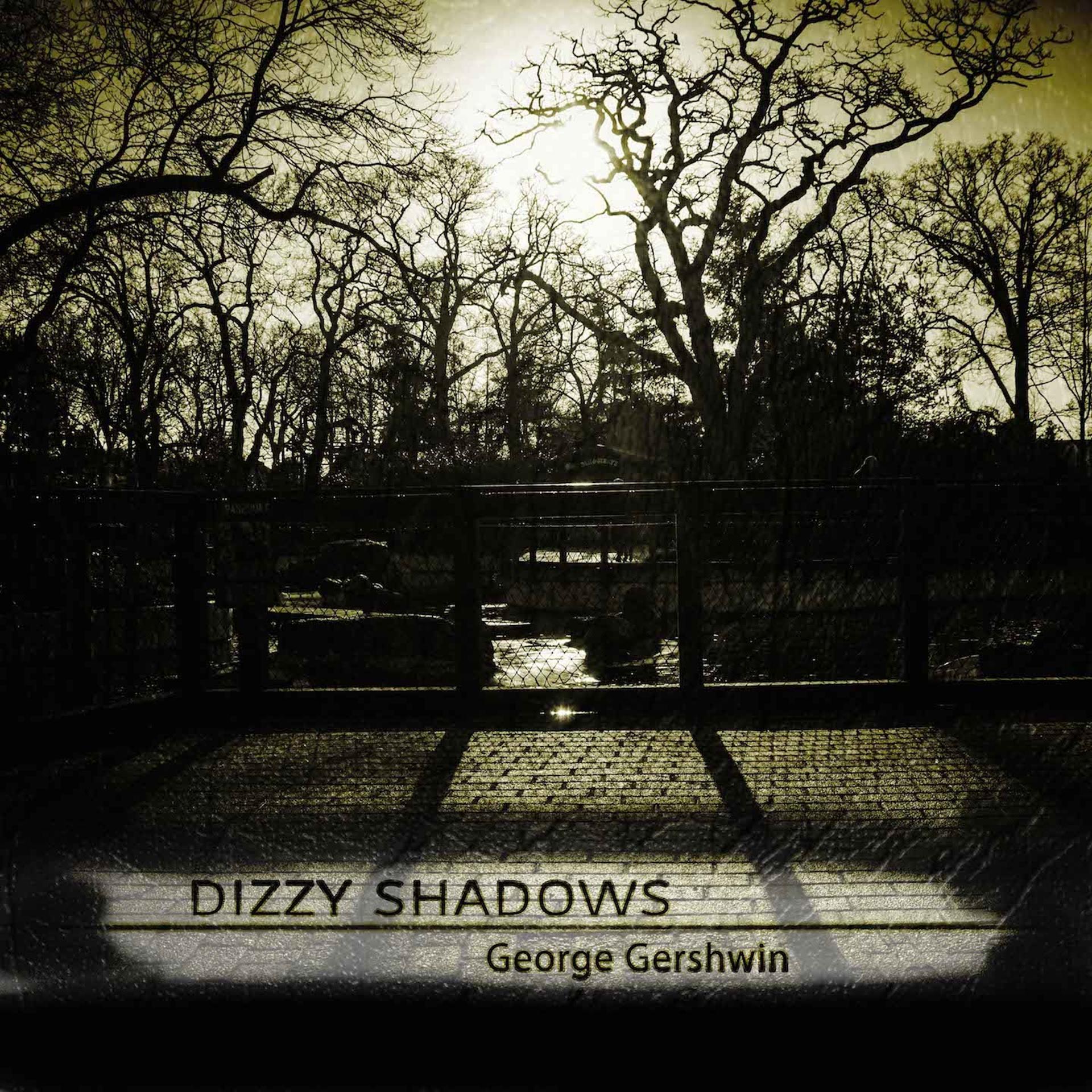 Постер альбома Dizzy Shadows