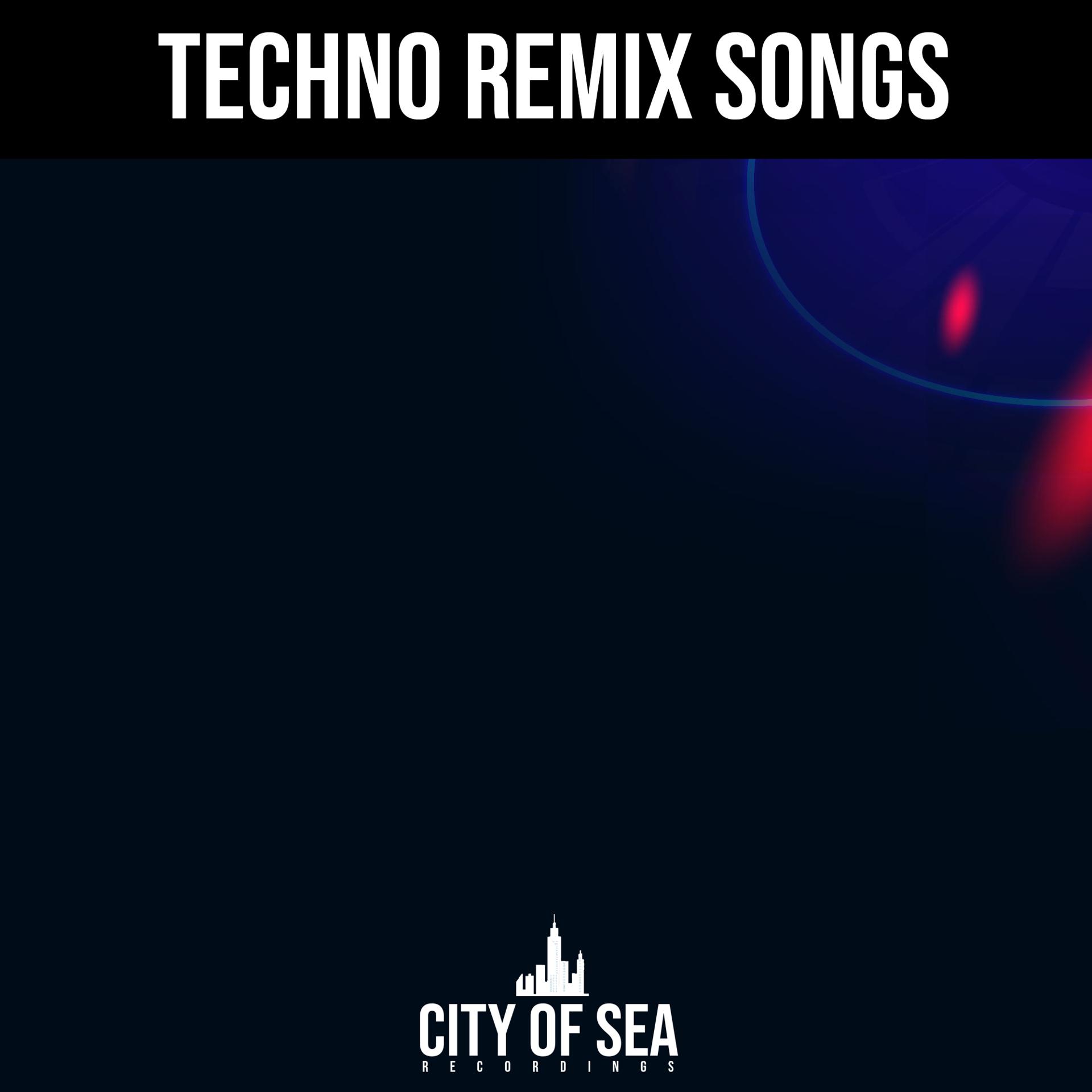 Постер альбома Techno Remix Songs