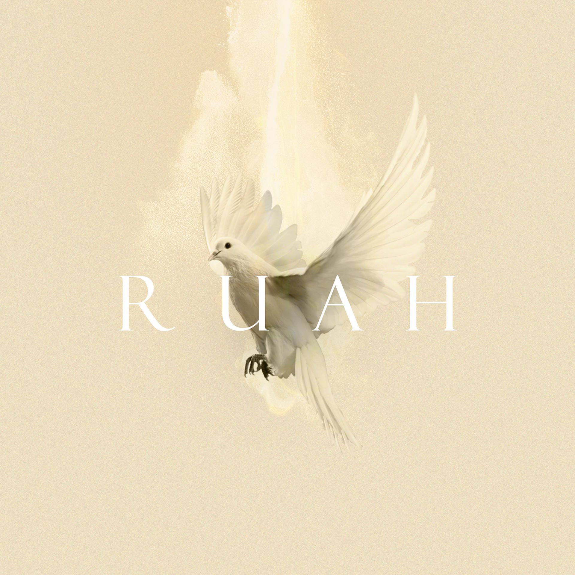 Постер альбома Ruah (Acoustique)