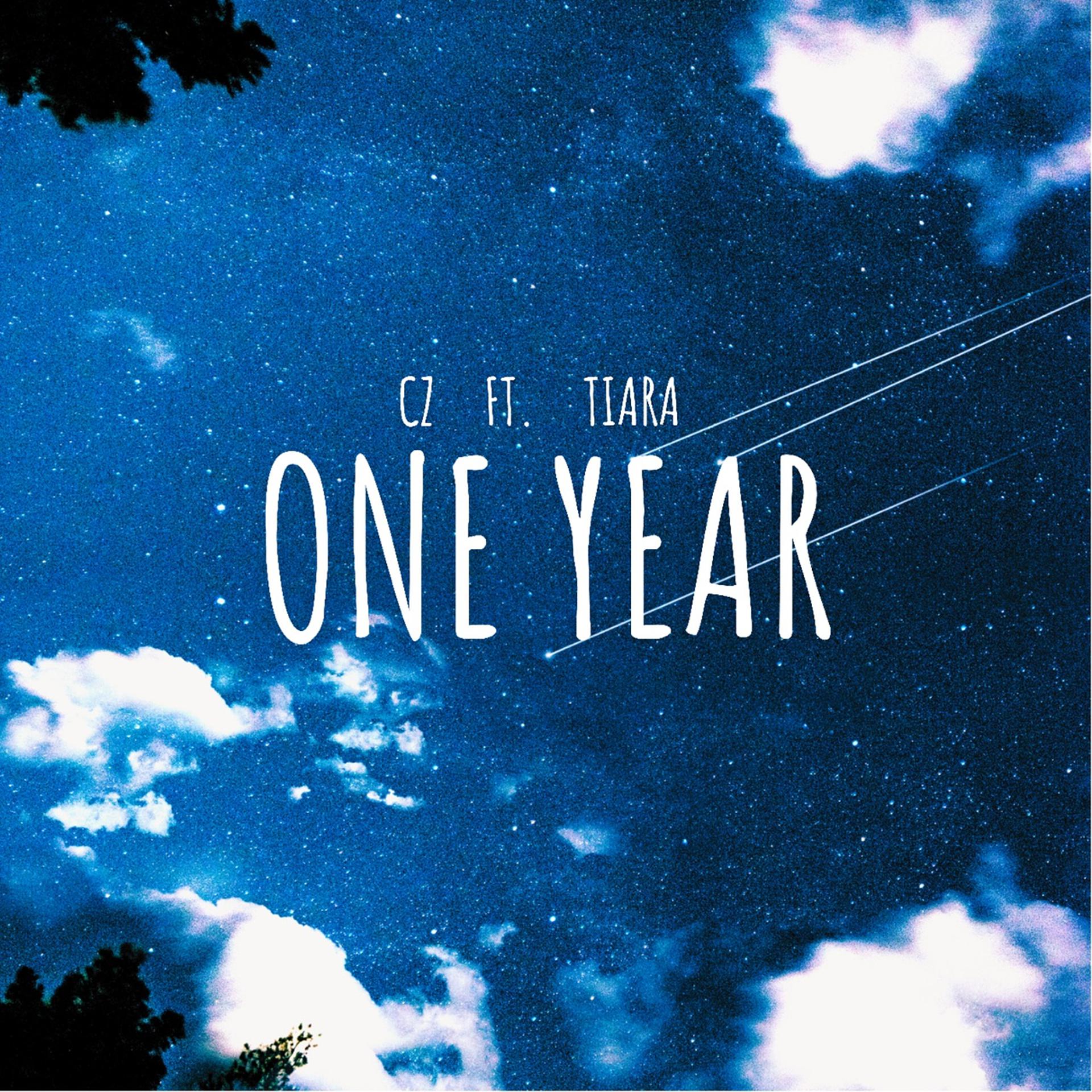 Постер альбома One Year