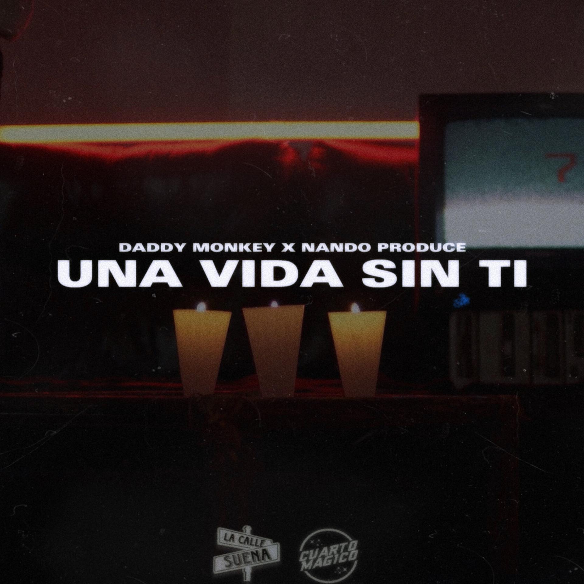 Постер альбома Una Vida Sin Ti