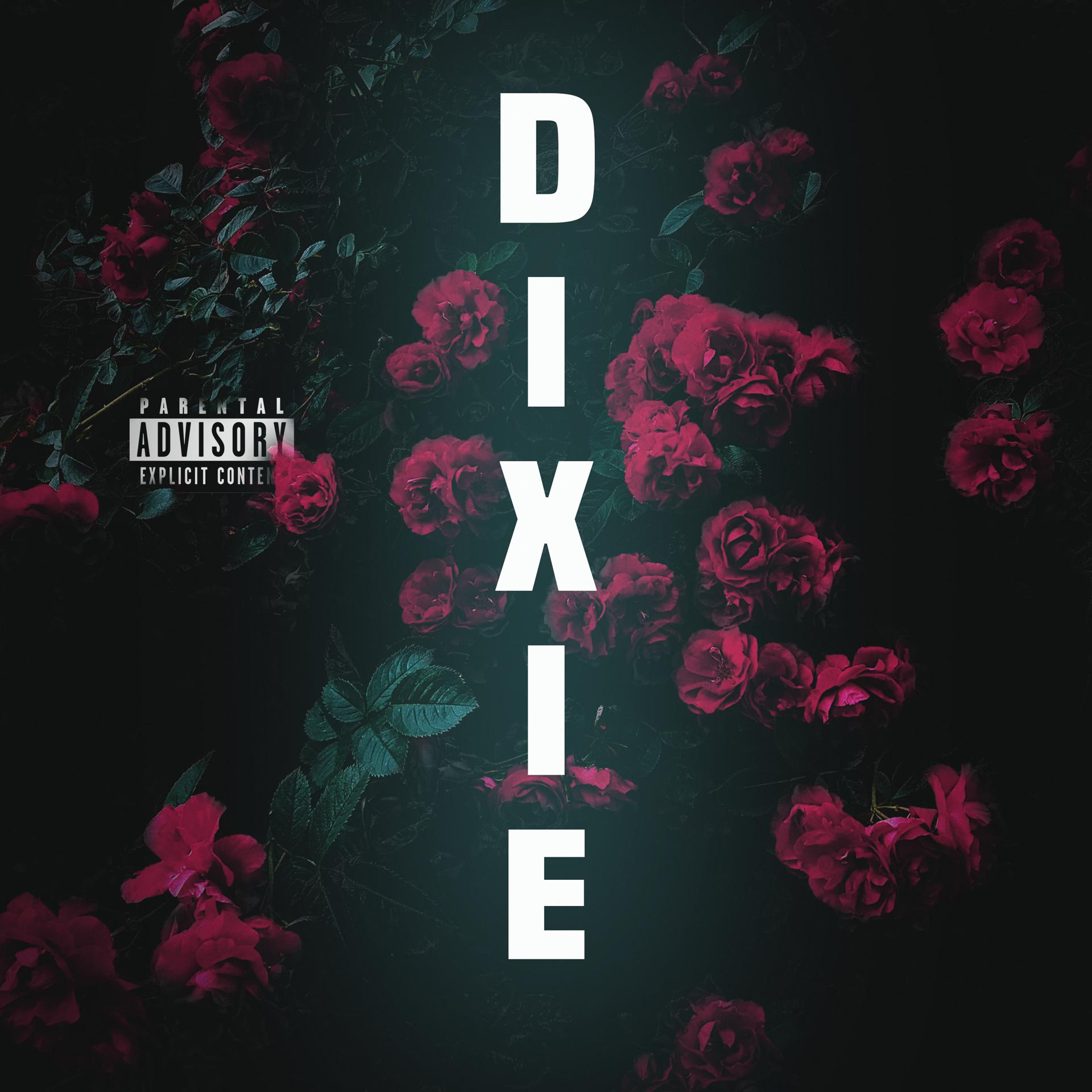 Постер альбома Dixie