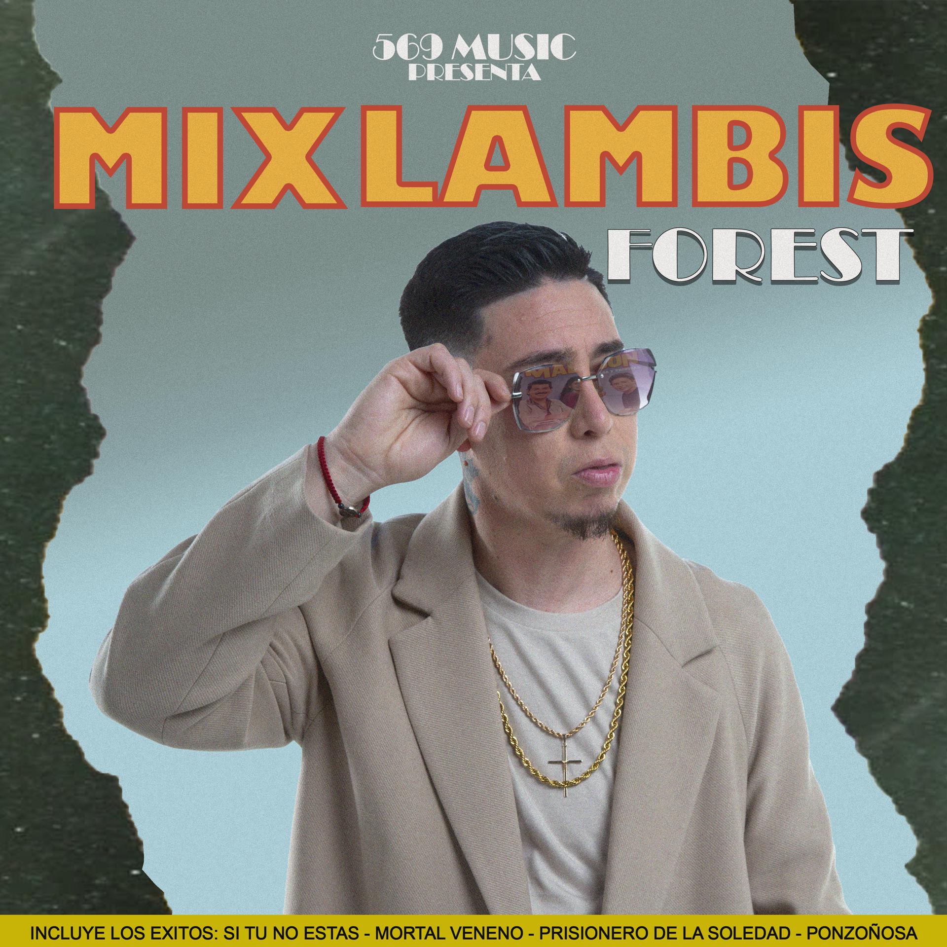Постер альбома Mixlambis