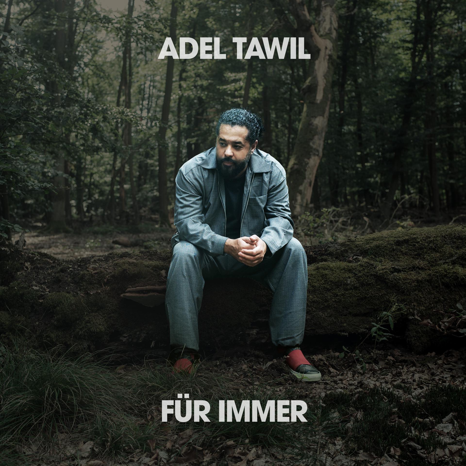 Постер альбома Für Immer