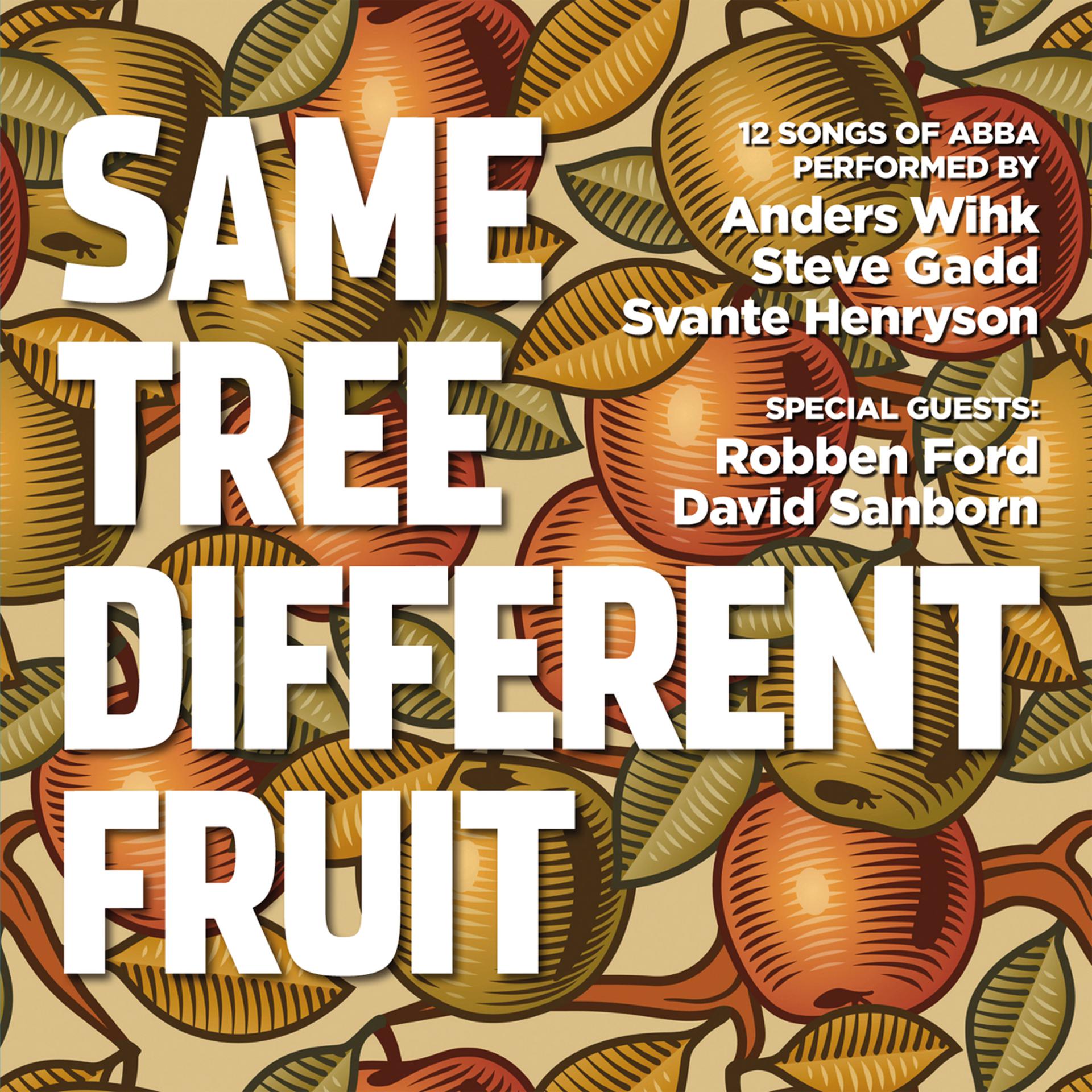 Постер альбома Same Tree Different Fruit