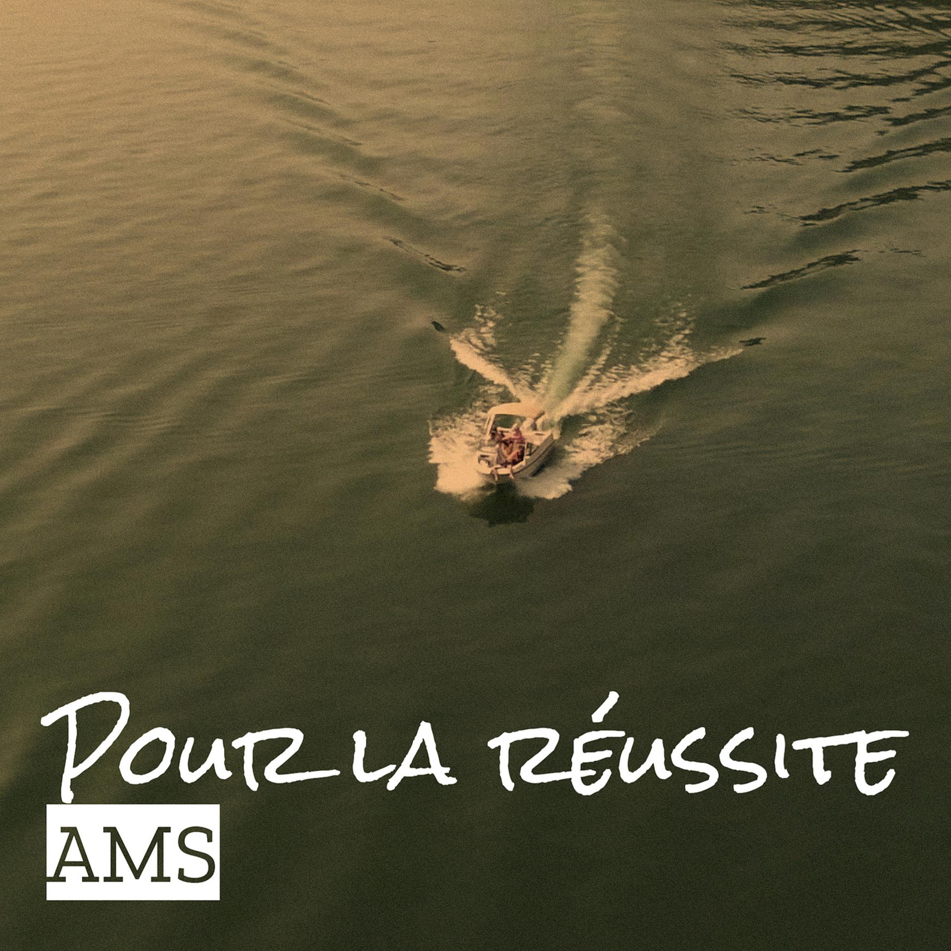 Постер альбома Pour la réussite