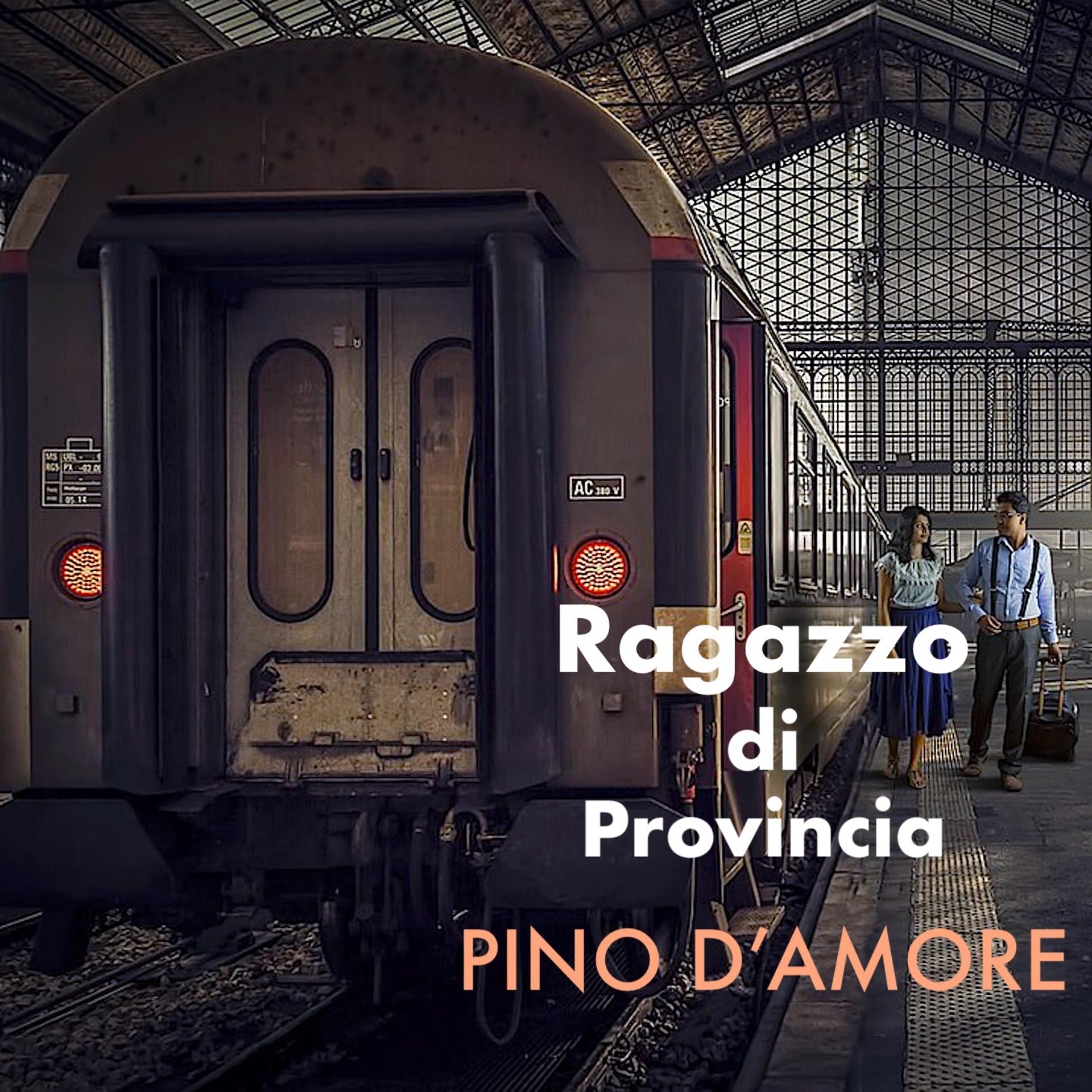 Постер альбома Ragazzo Di Provincia