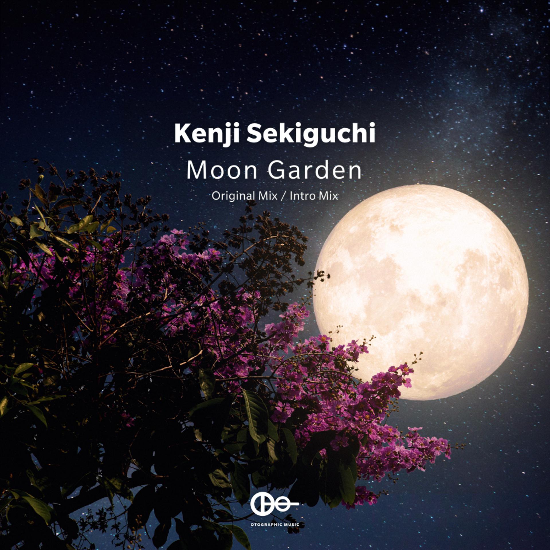 Постер альбома Moon Garden