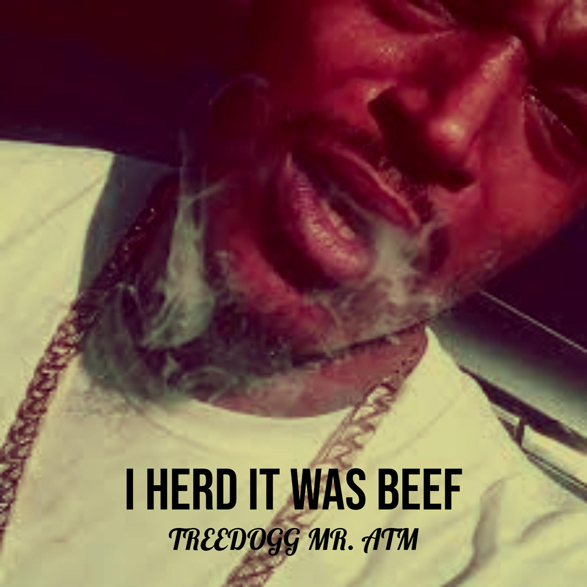 Постер альбома I Herd It Was Beef