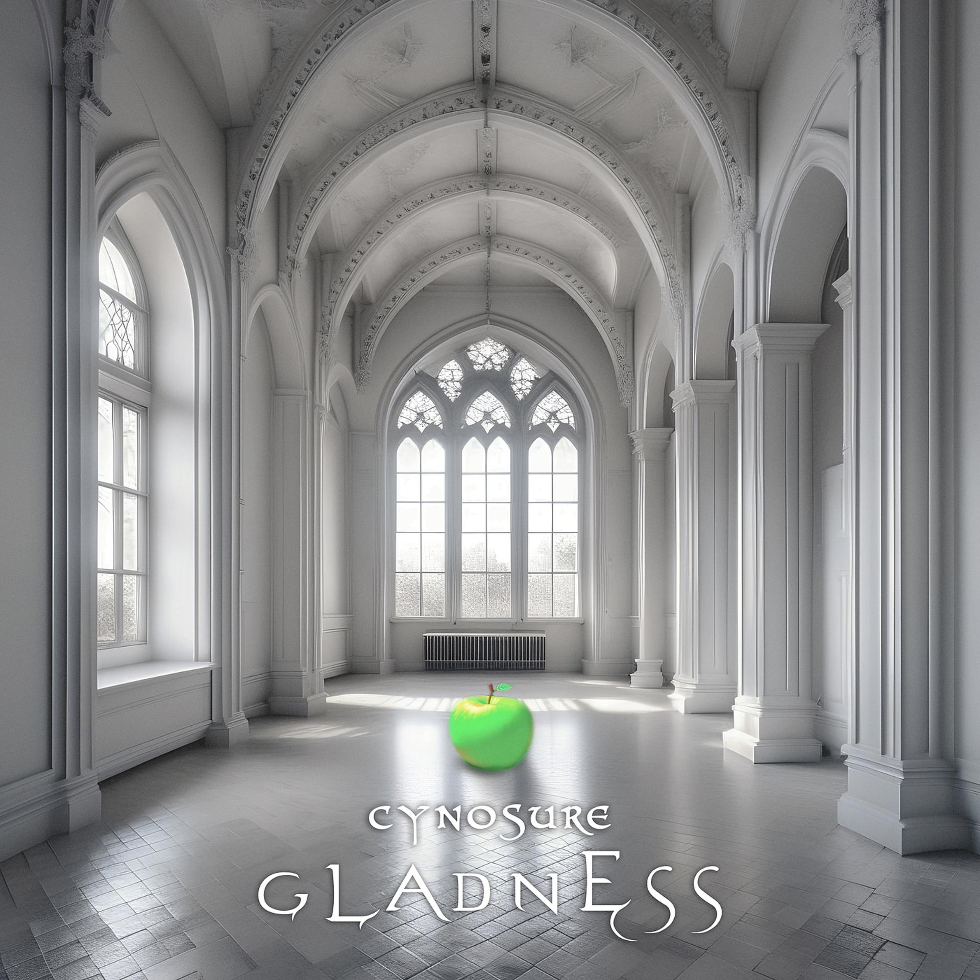 Постер альбома Gladness